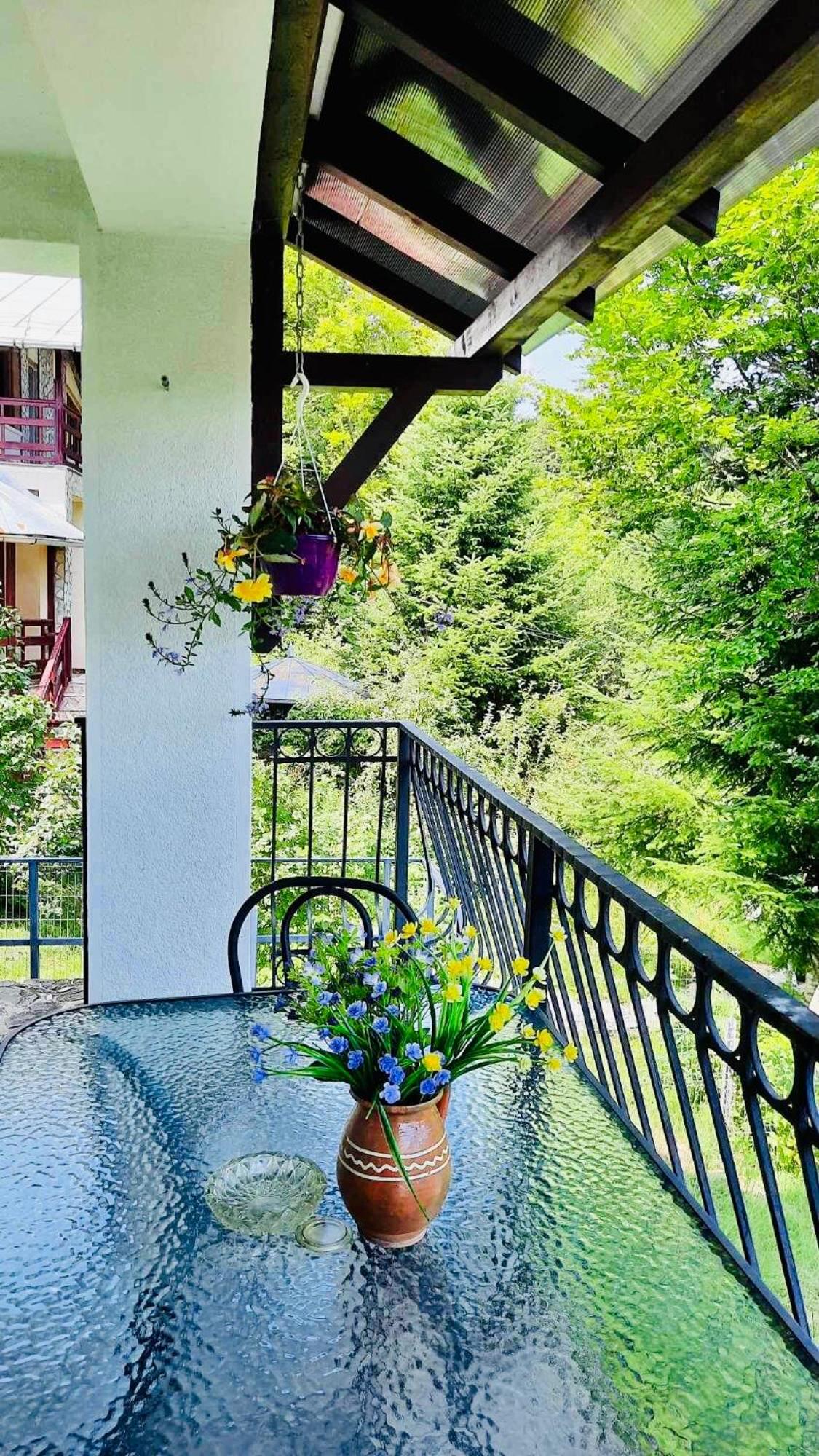 Iepurasul Sinaia
