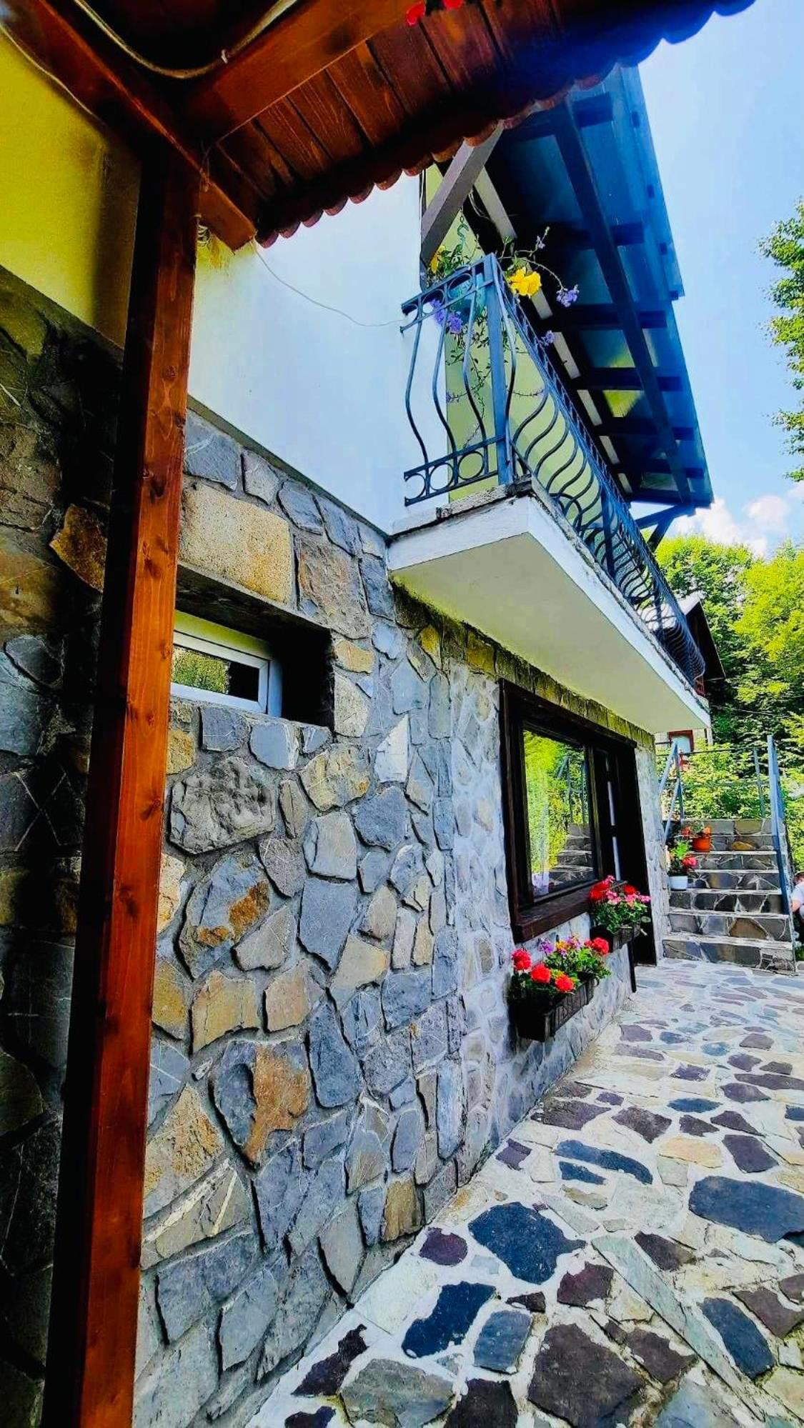 Iepurasul Sinaia