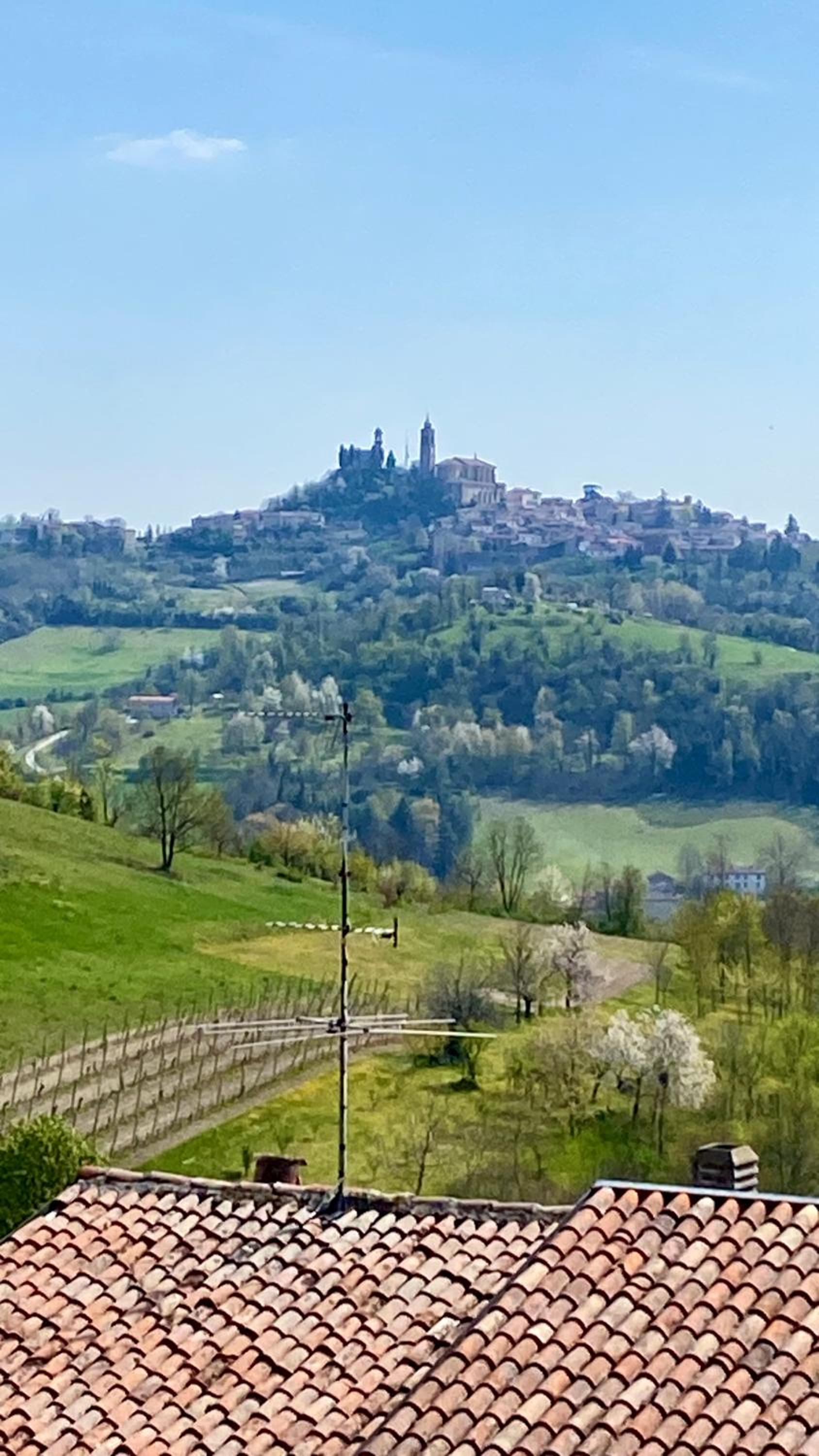 La casetta di Bianca - MonferratoHome view 4
