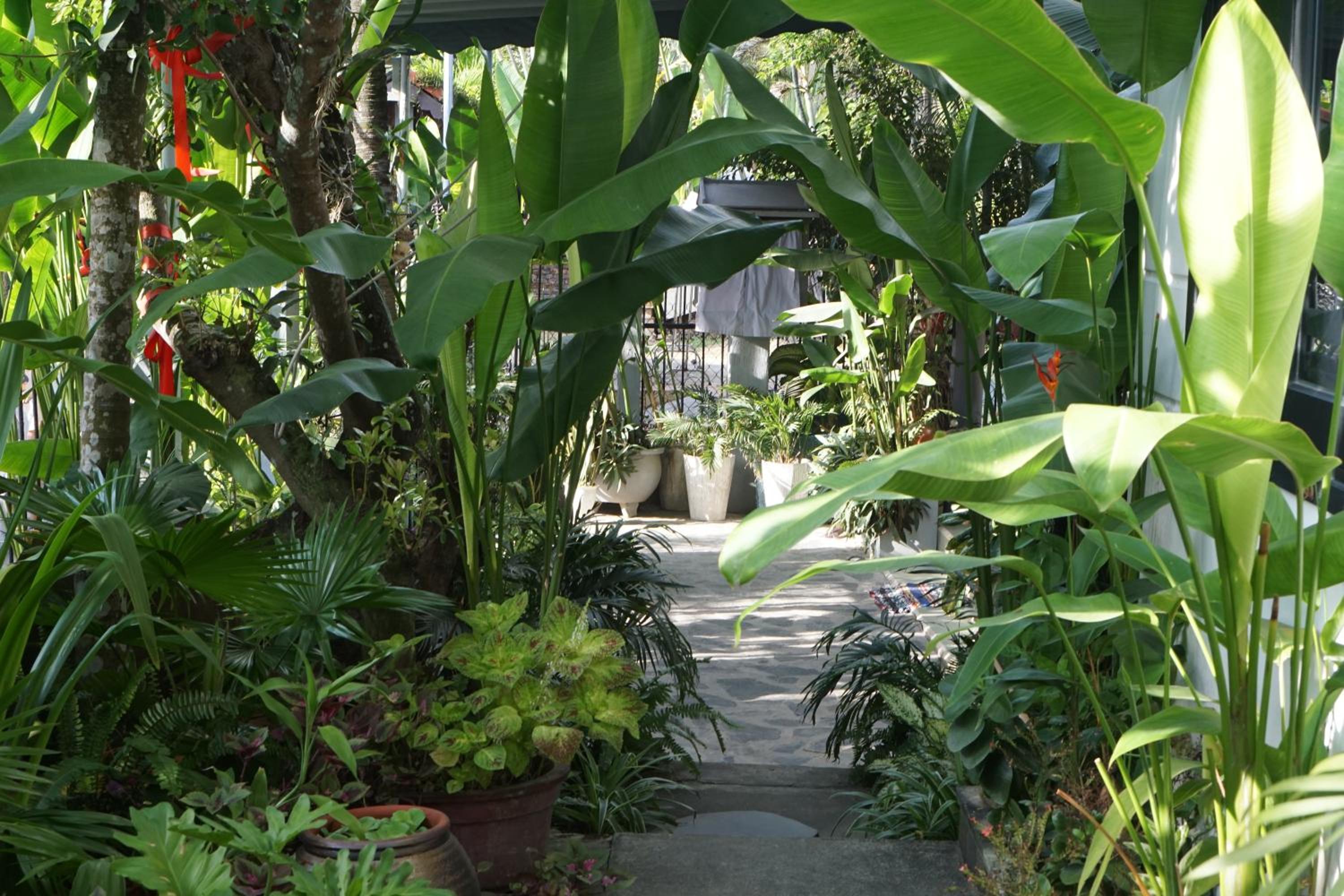 Sunny Garden Homestay