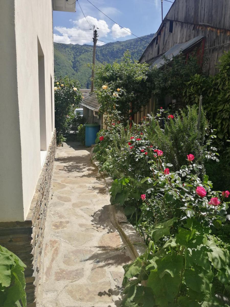 Les Rosiers view 4
