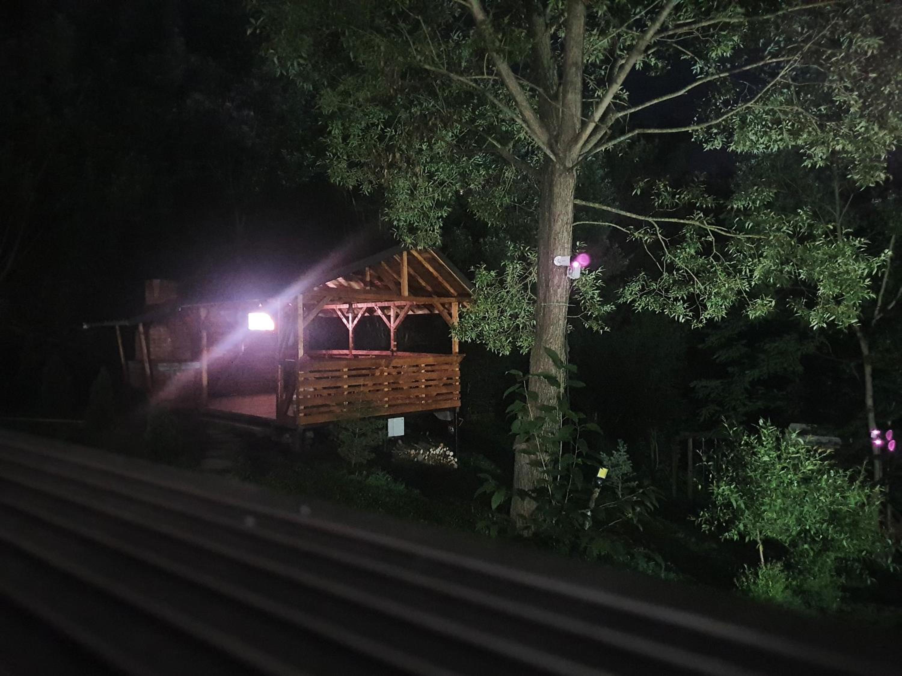 Forest House Doftana