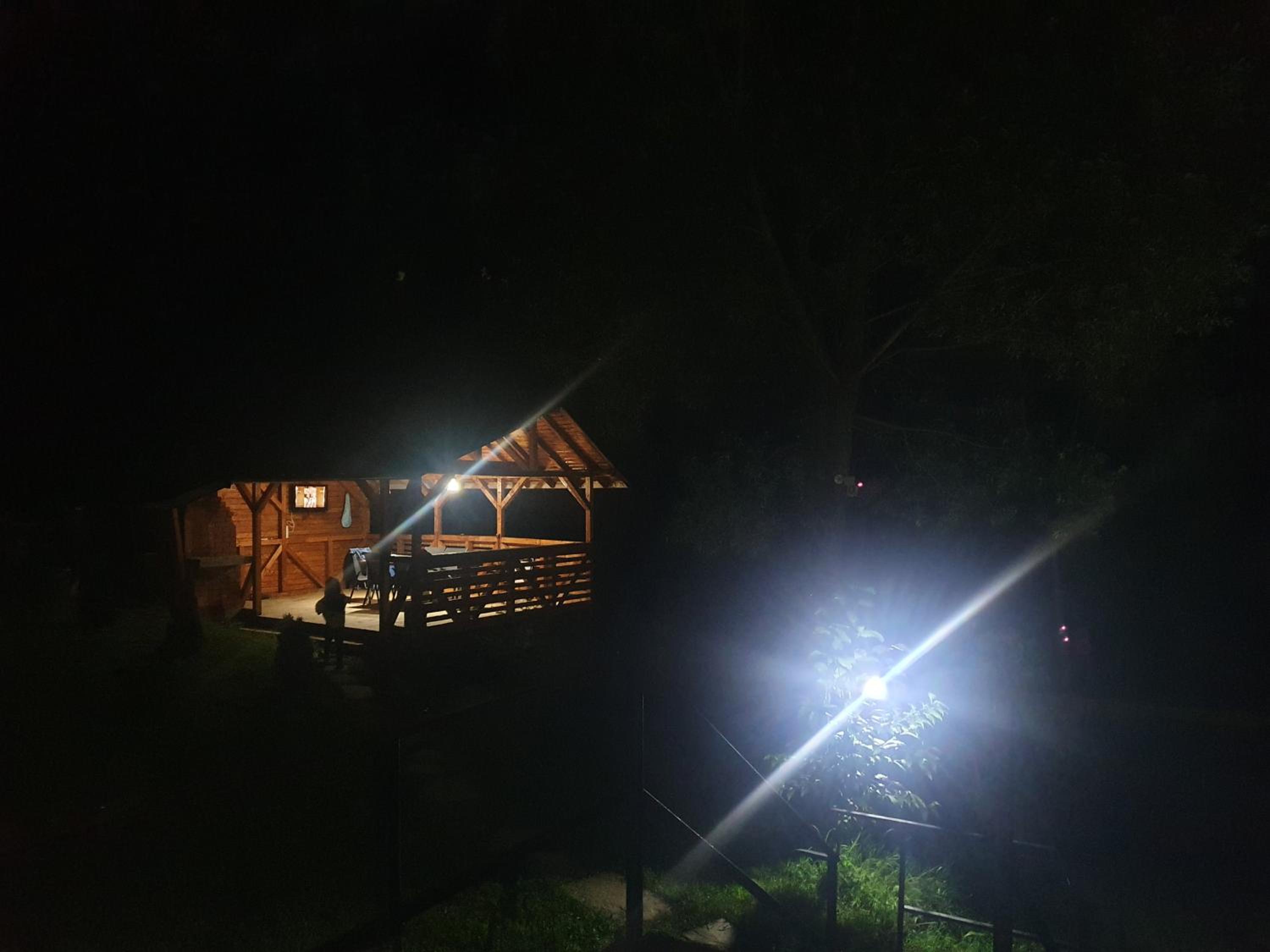 Forest House Doftana
