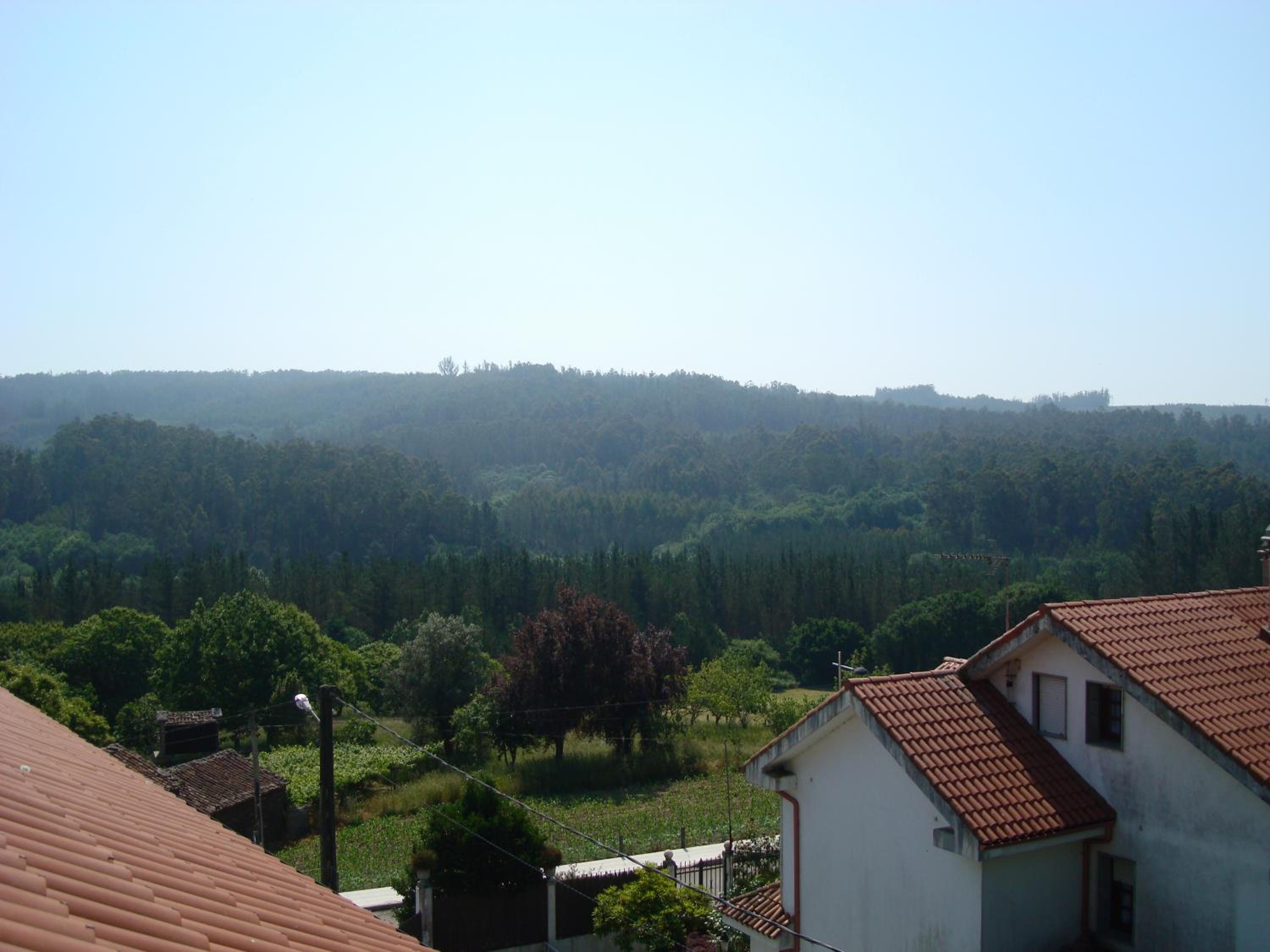 Pensión A Solaina view 5