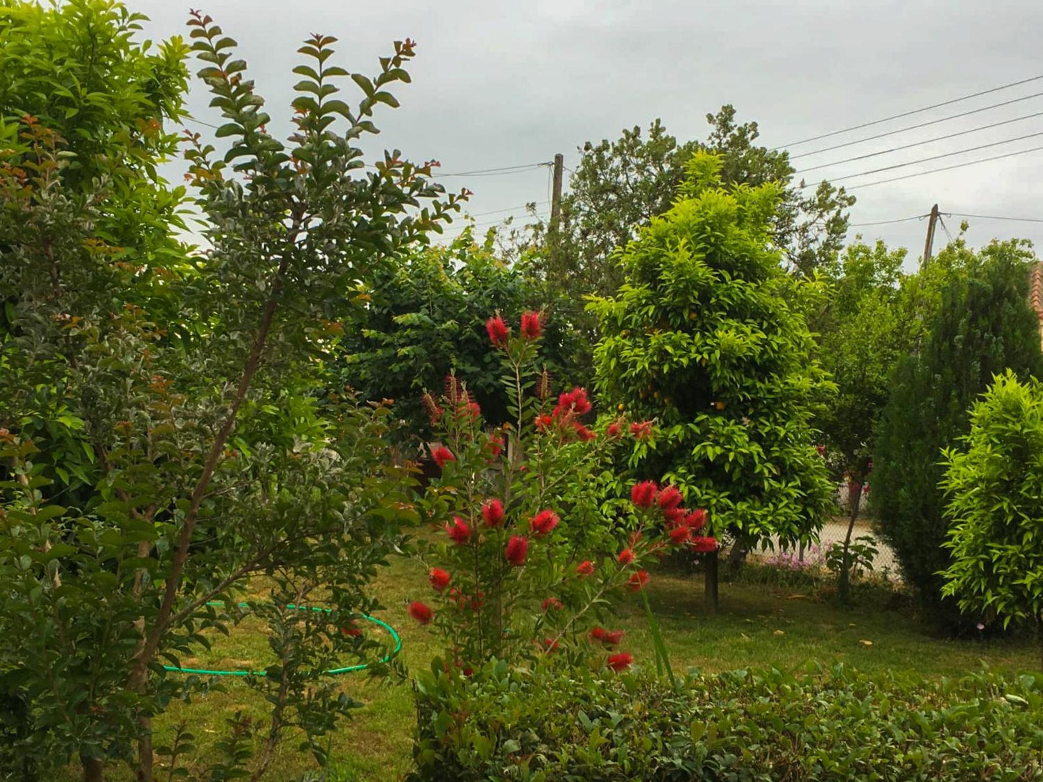 Calda Ospitalita