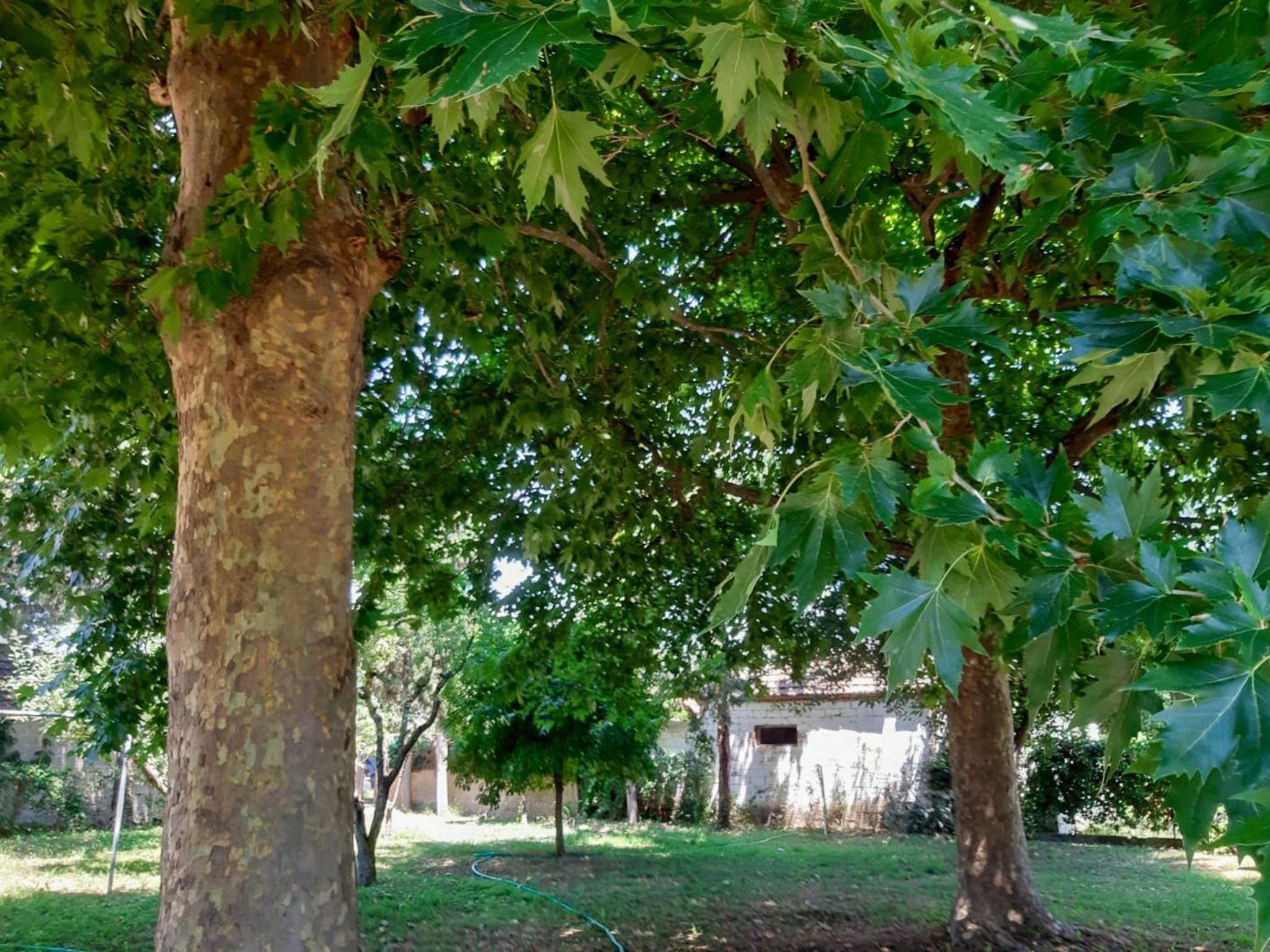 Calda Ospitalita