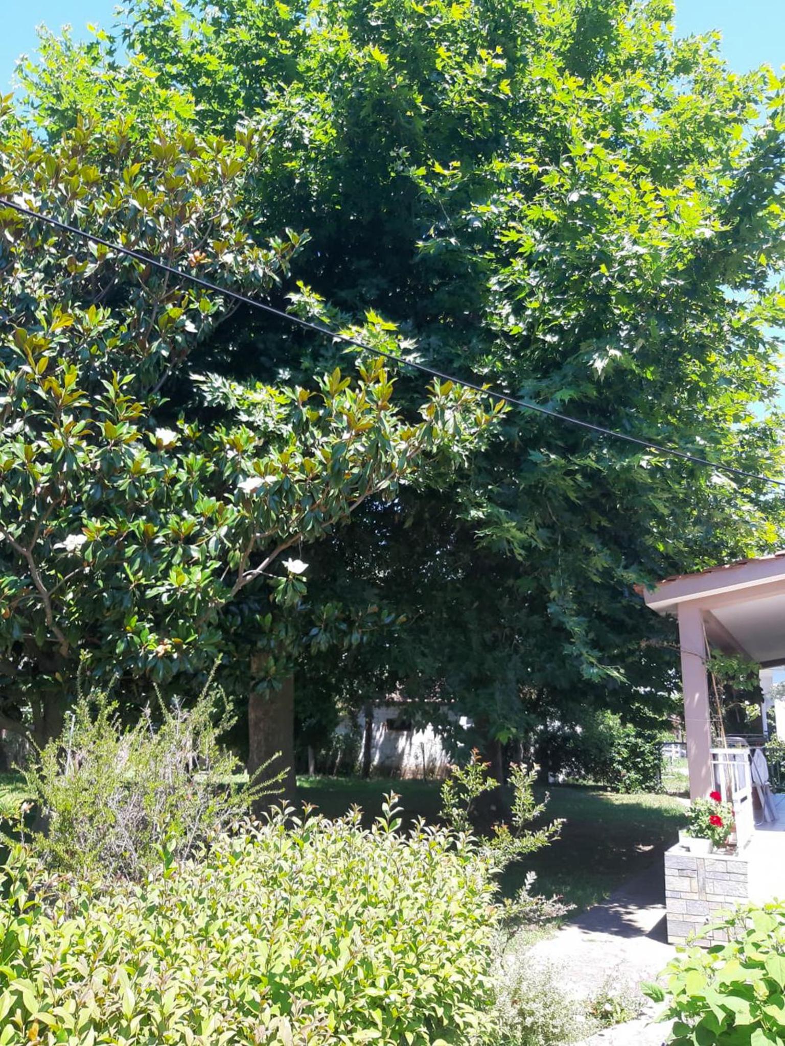 Calda Ospitalita