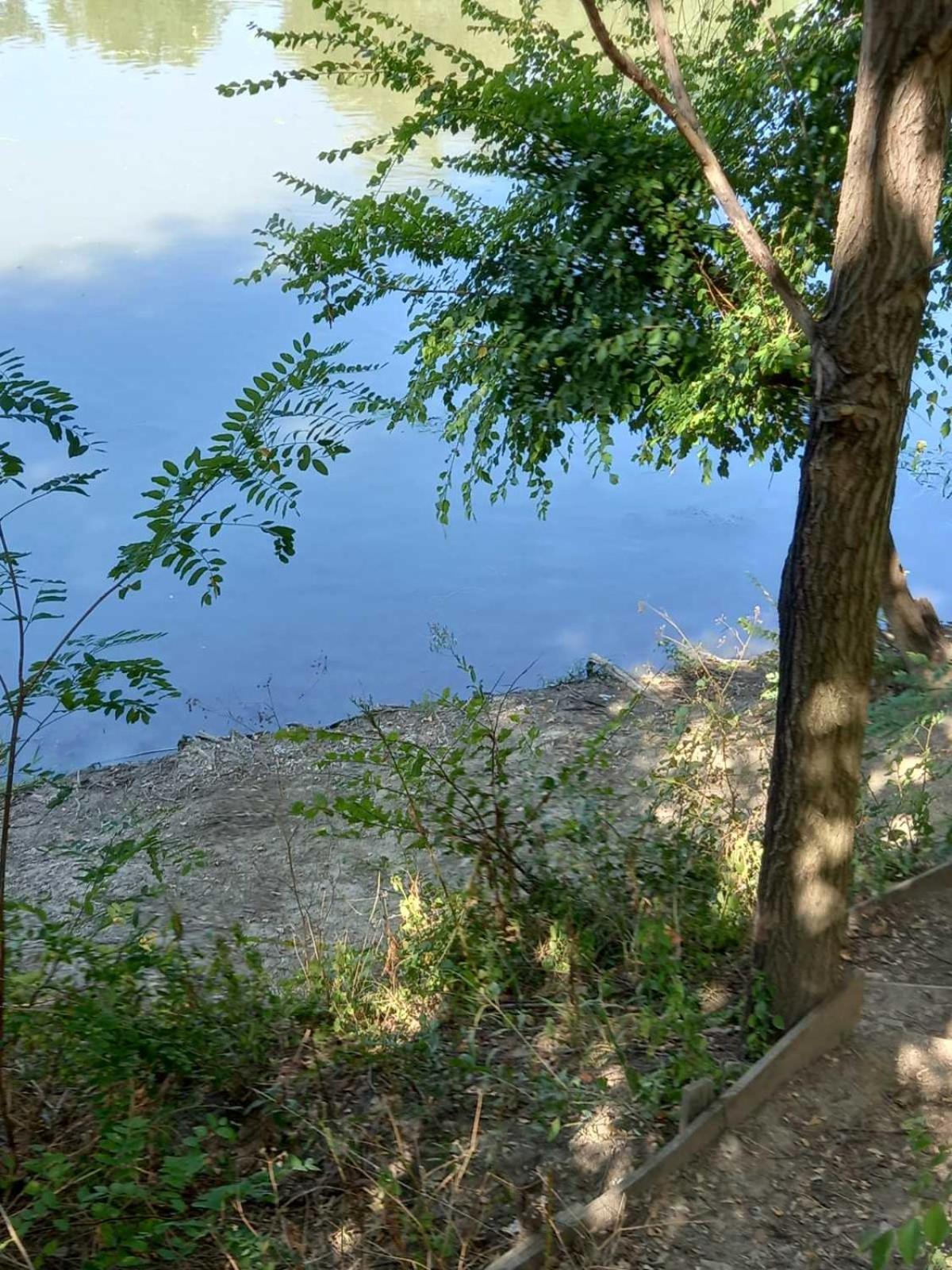 Apartman Lola Ruža view 4