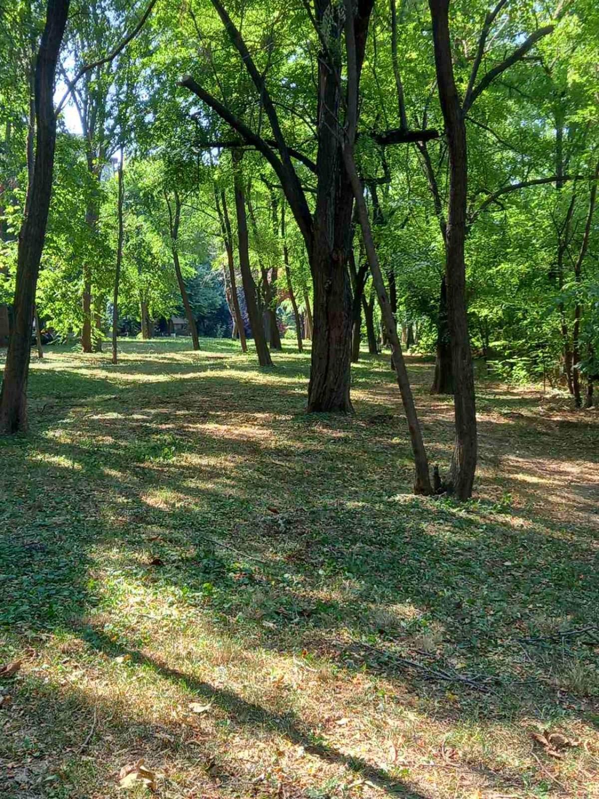 Apartman Lola Ruža view 5