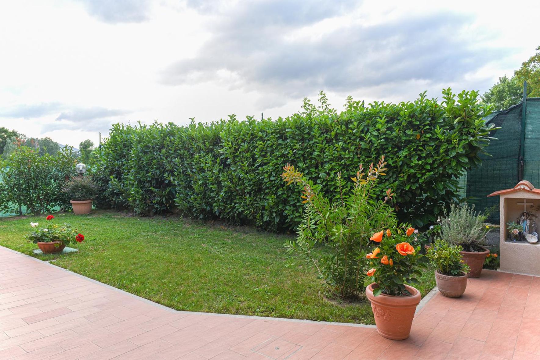 Kododo in Tuscany Lucca photo 5