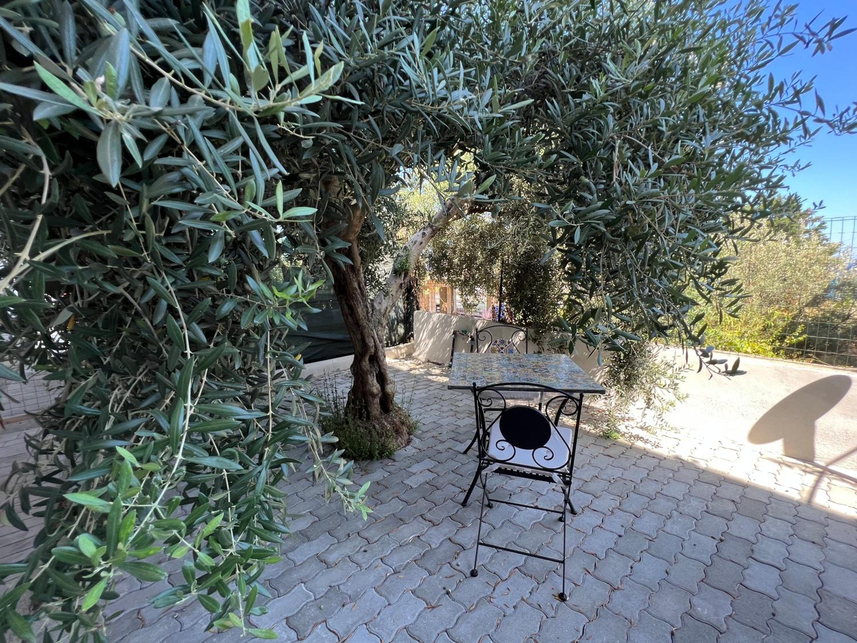 Appartamento L'Ulivo