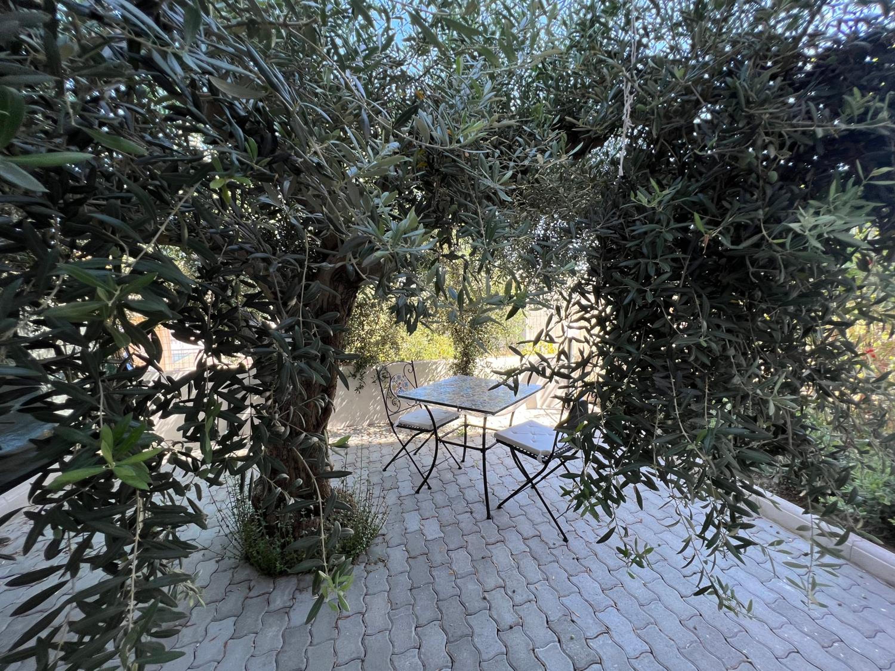 Appartamento L'Ulivo