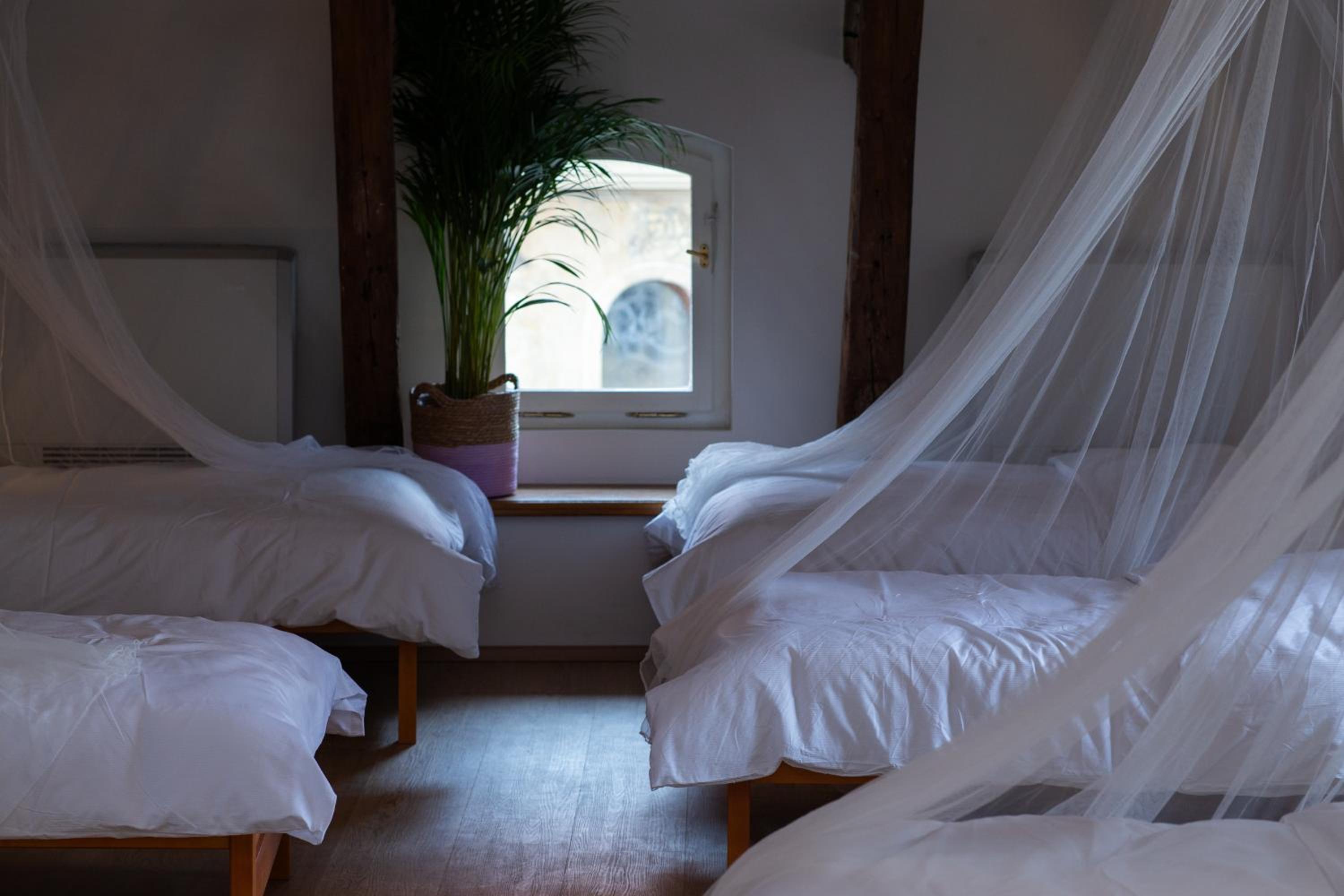 Women's Only Hostel - Female Only