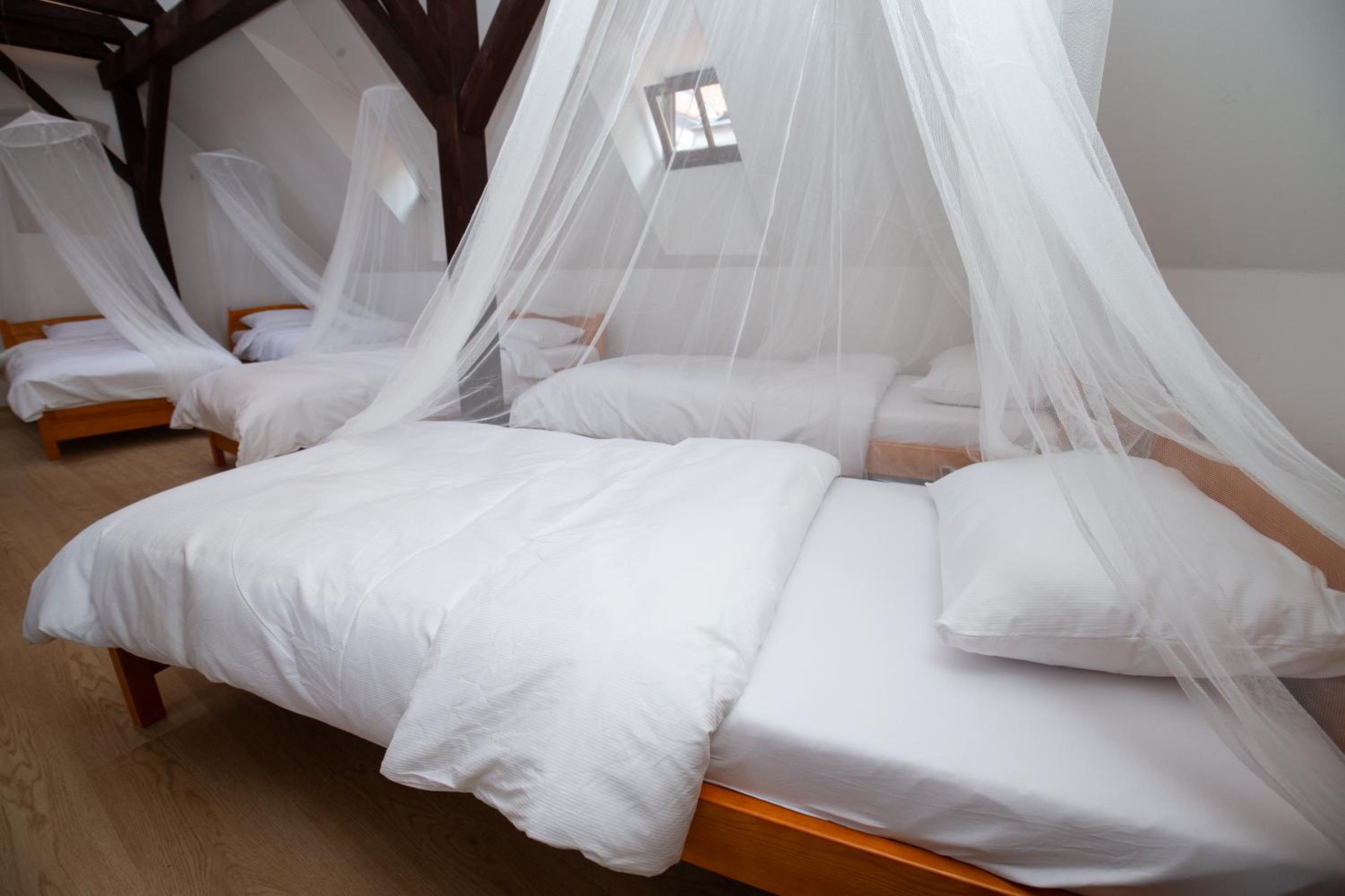 Women's Only Hostel - Female Only