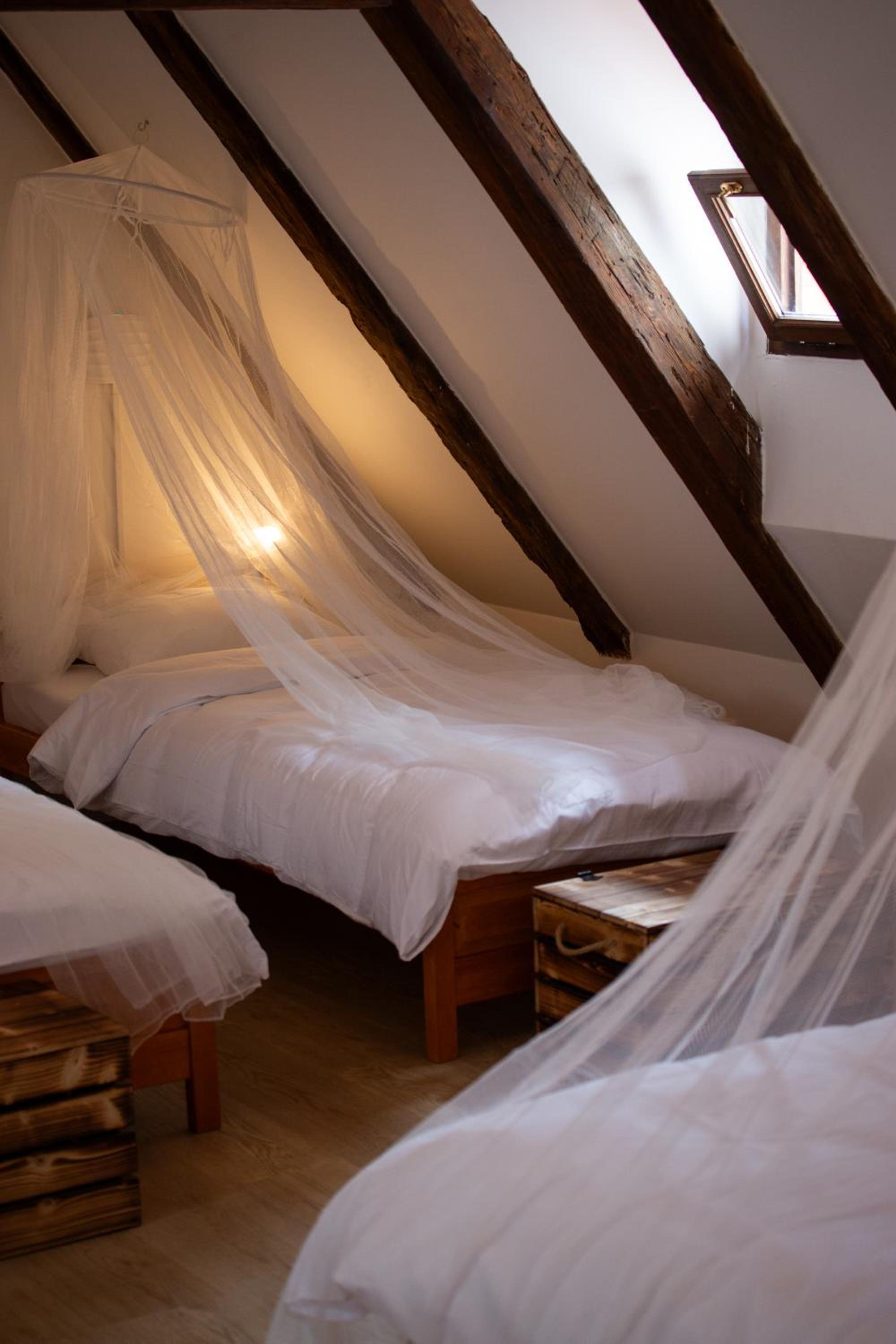 Women's Only Hostel - Female Only