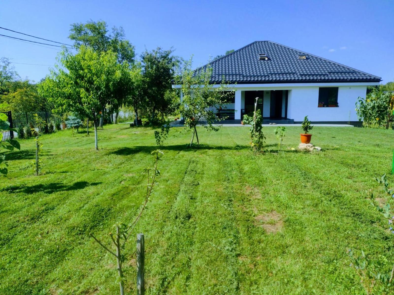 Photo 45