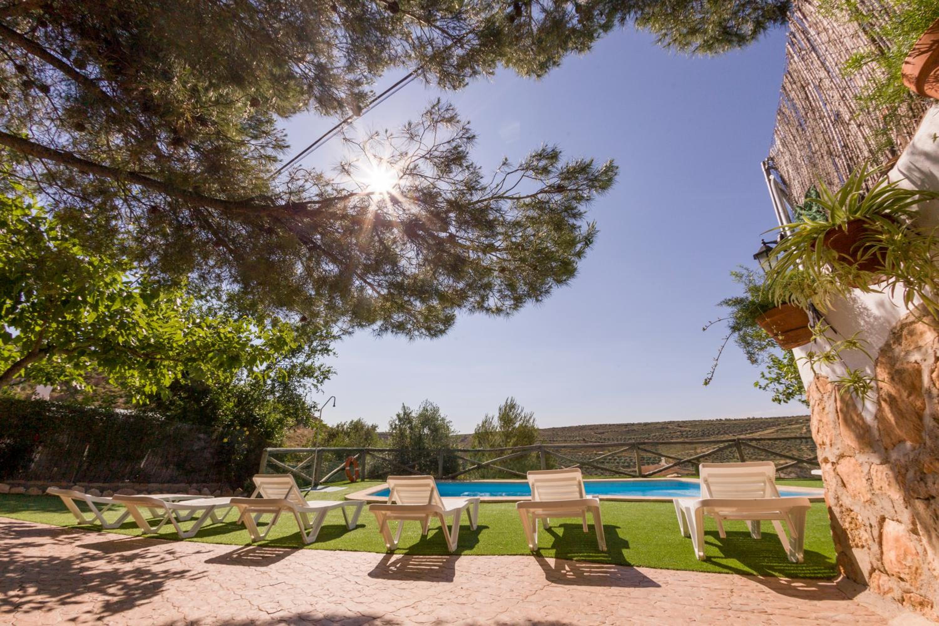 Photo 59