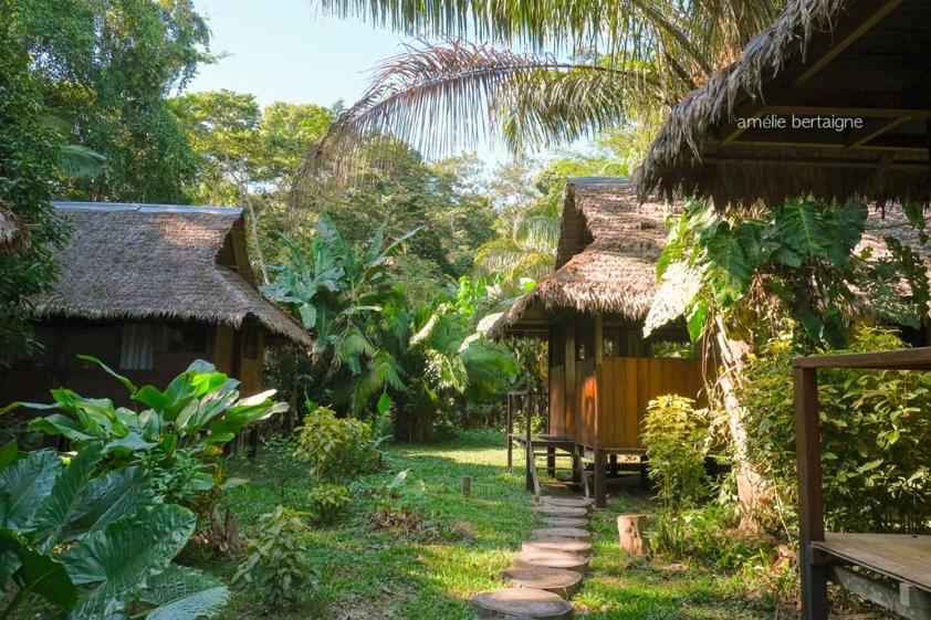 Ecolucerna Lodge Tambopata
