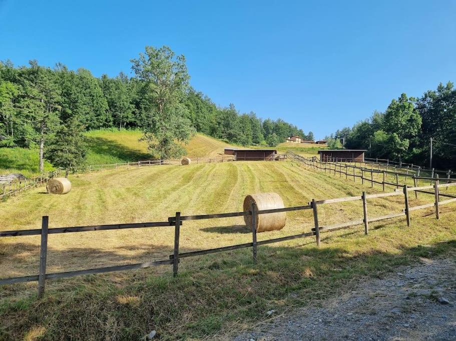 Oasi di pace nella Val di Taro view 5