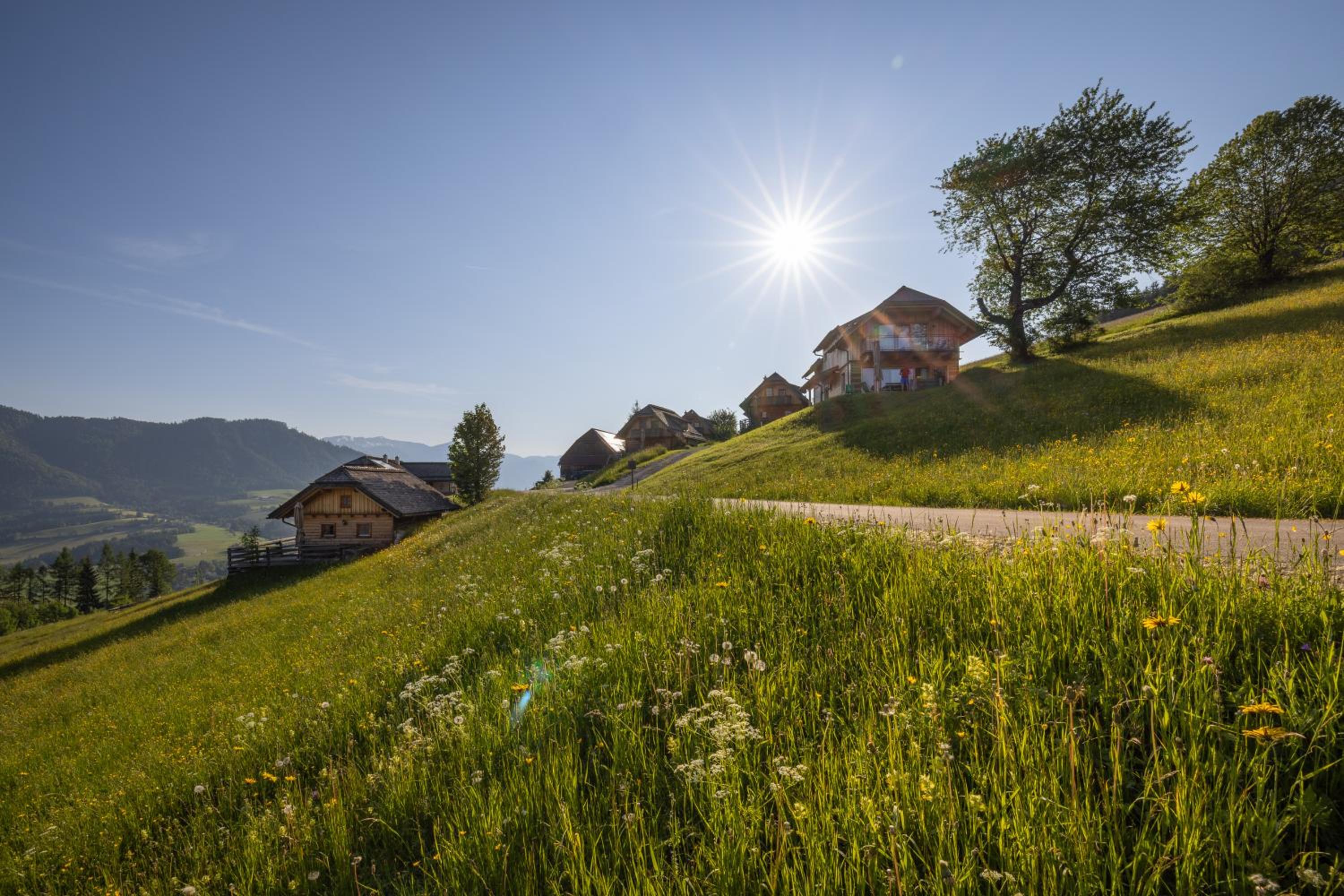 Almresort Baumschlagerberg