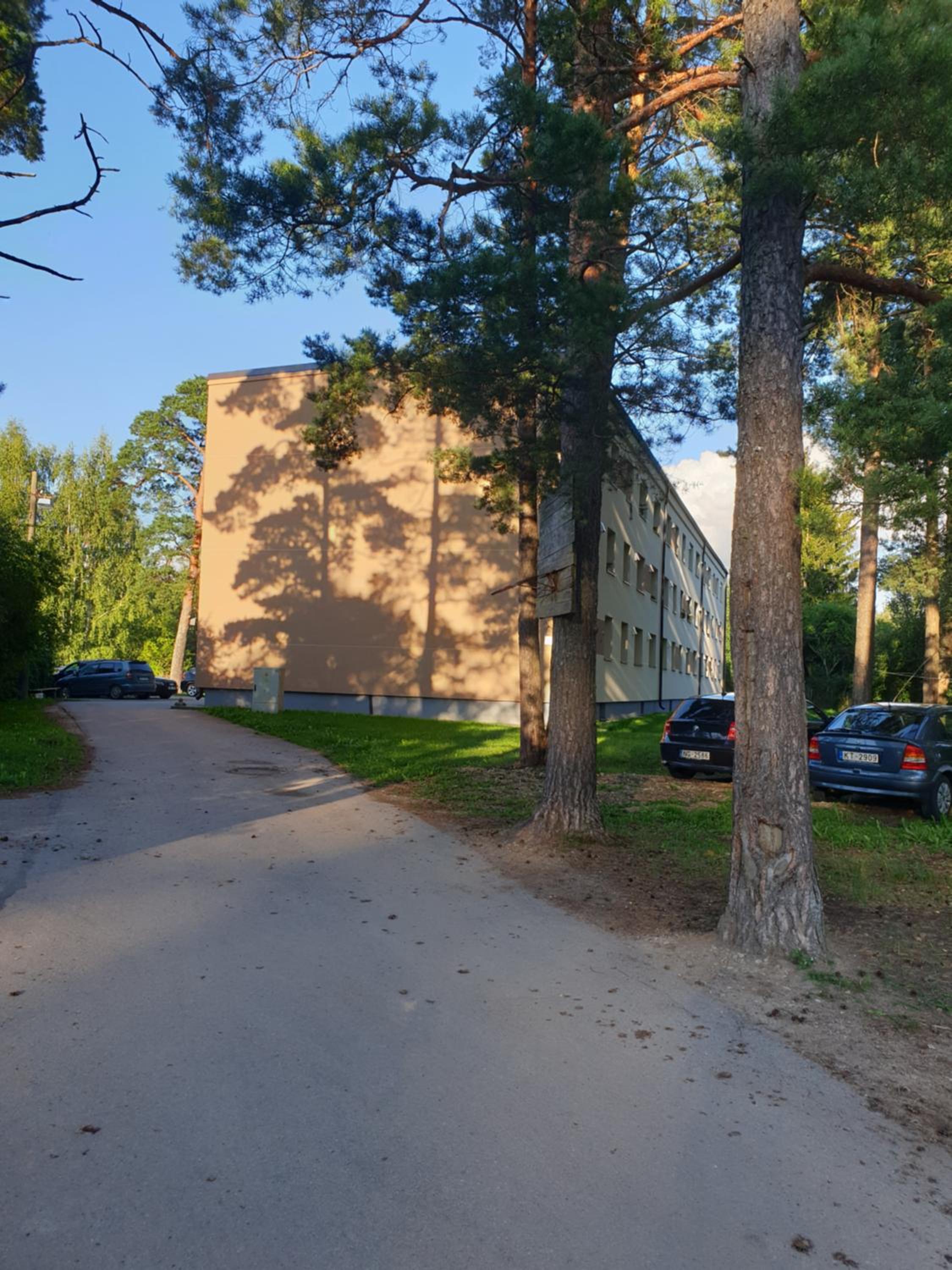 Photo 12