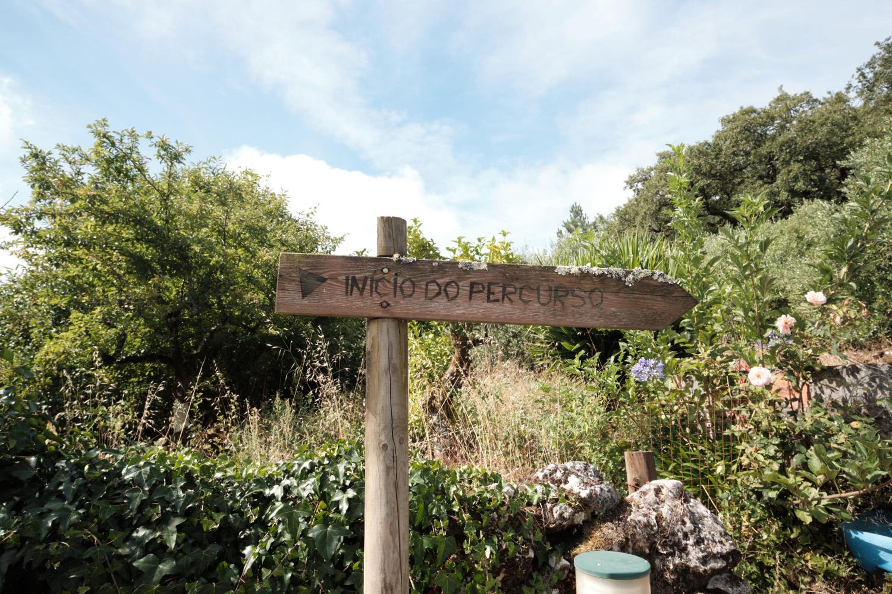 Photo 39