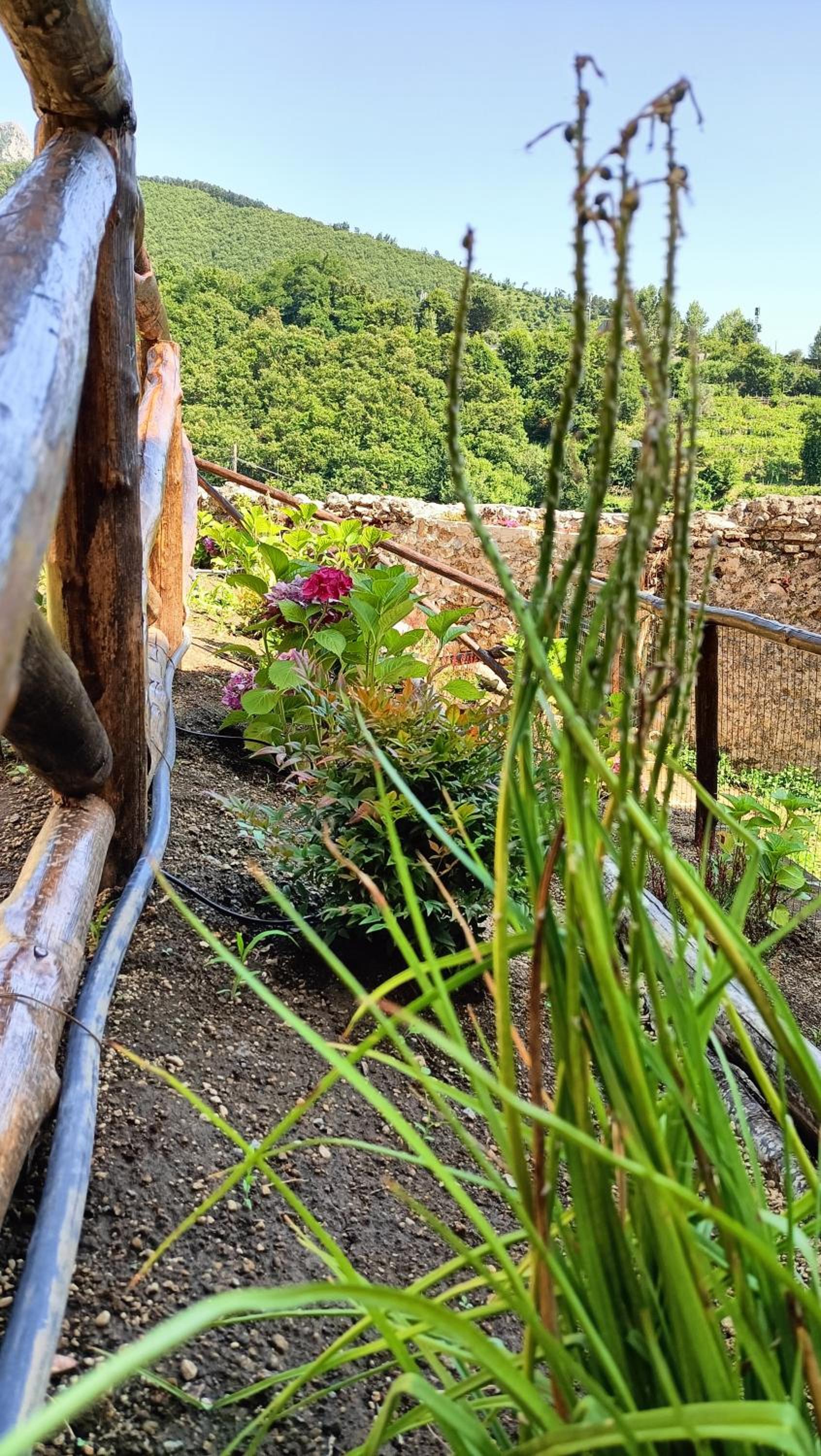 Casale Forno Vecchio