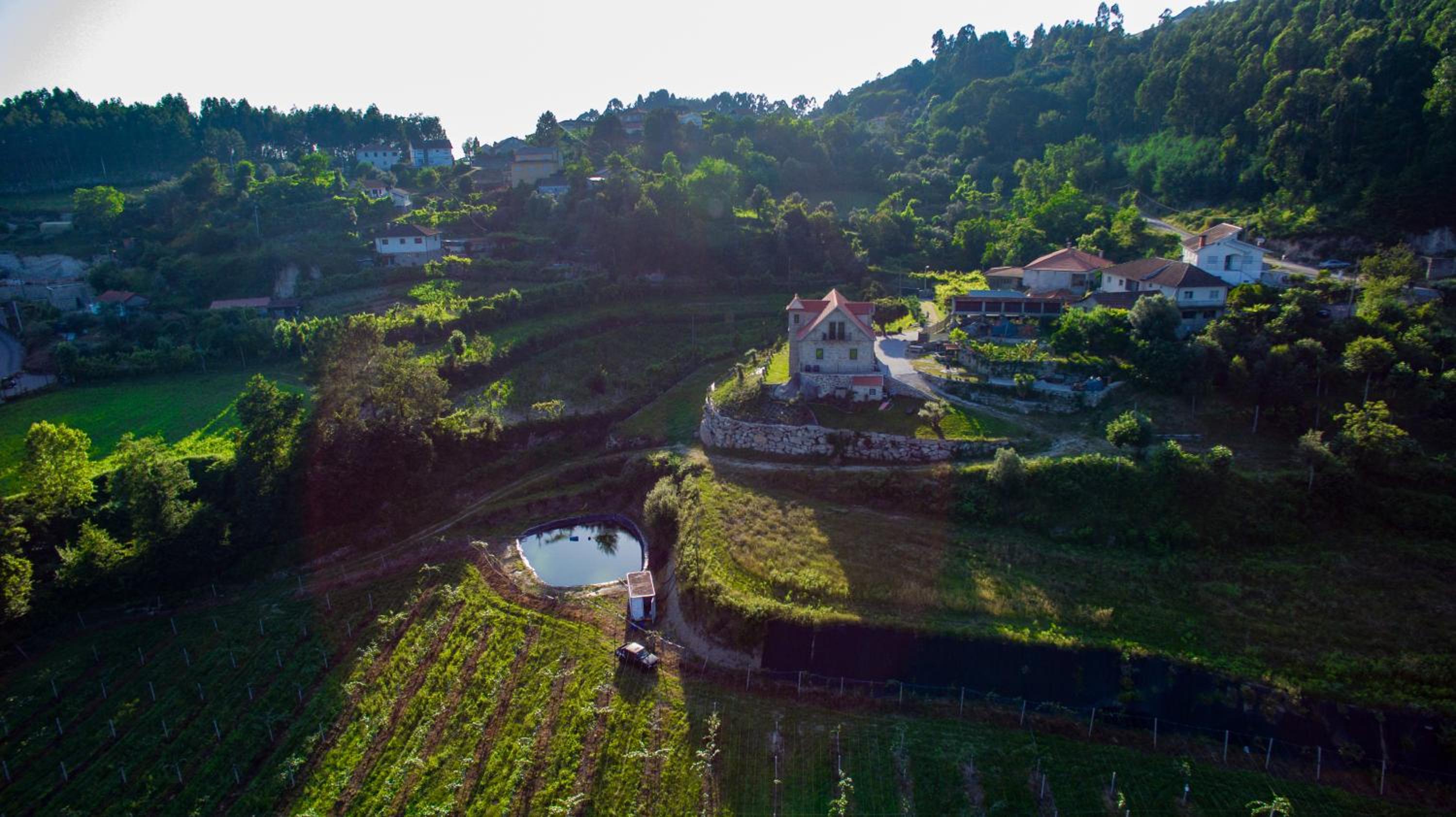 Quinta do Bairro