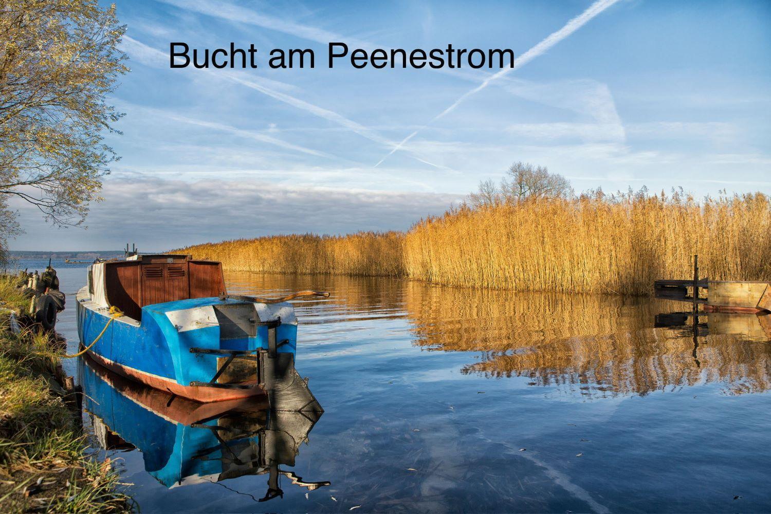 Ferienhaus Oogenstern USEDOM -ruhige Lage-Fischerdorf Zirchow Hund auf Anfrage