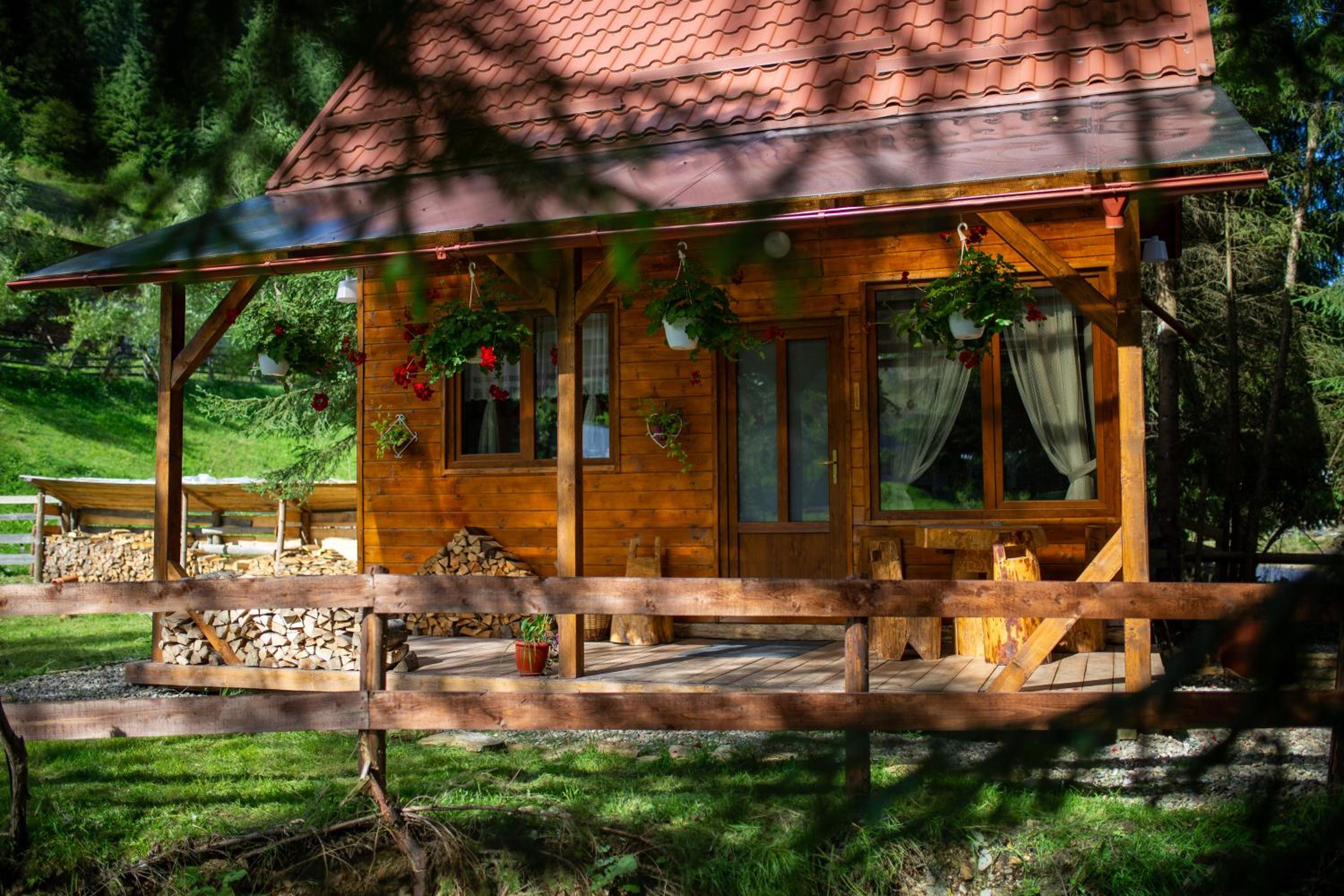 Pura Vida Forest Home view 2