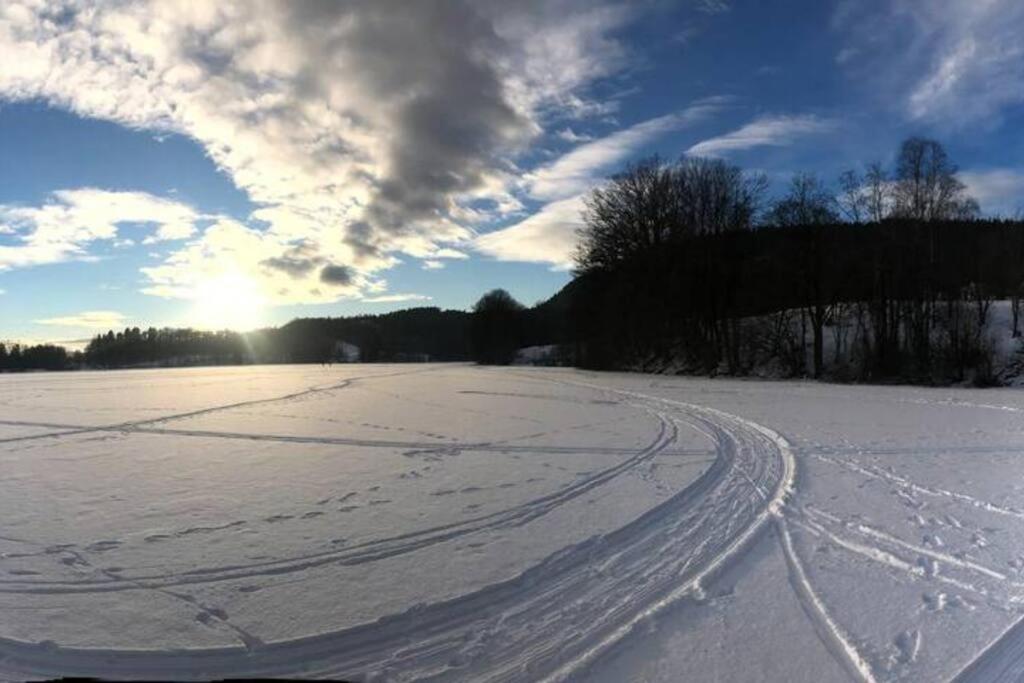 La Casa Nostra in Asker, only 17 minutes to Oslo view 5