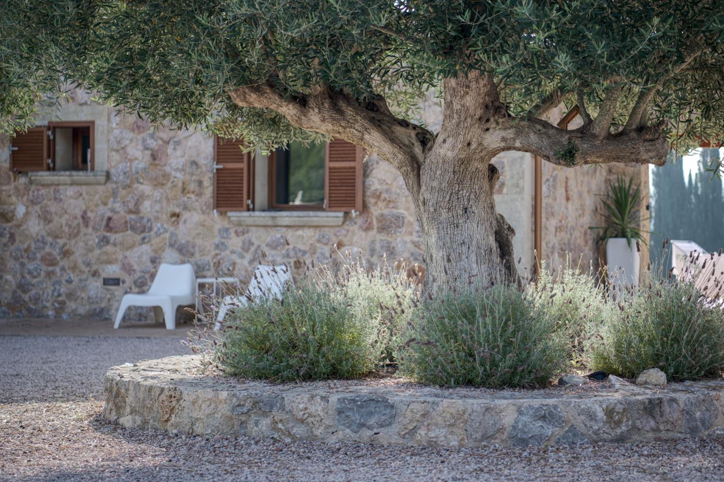 Villa Can Figuera