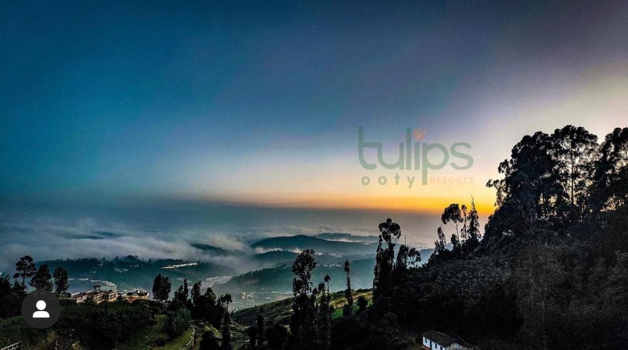 Tulips Village Resorts view 5