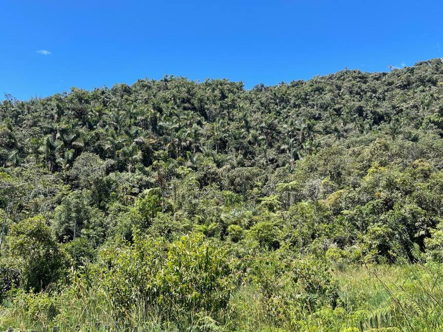 Camona Ecolodge