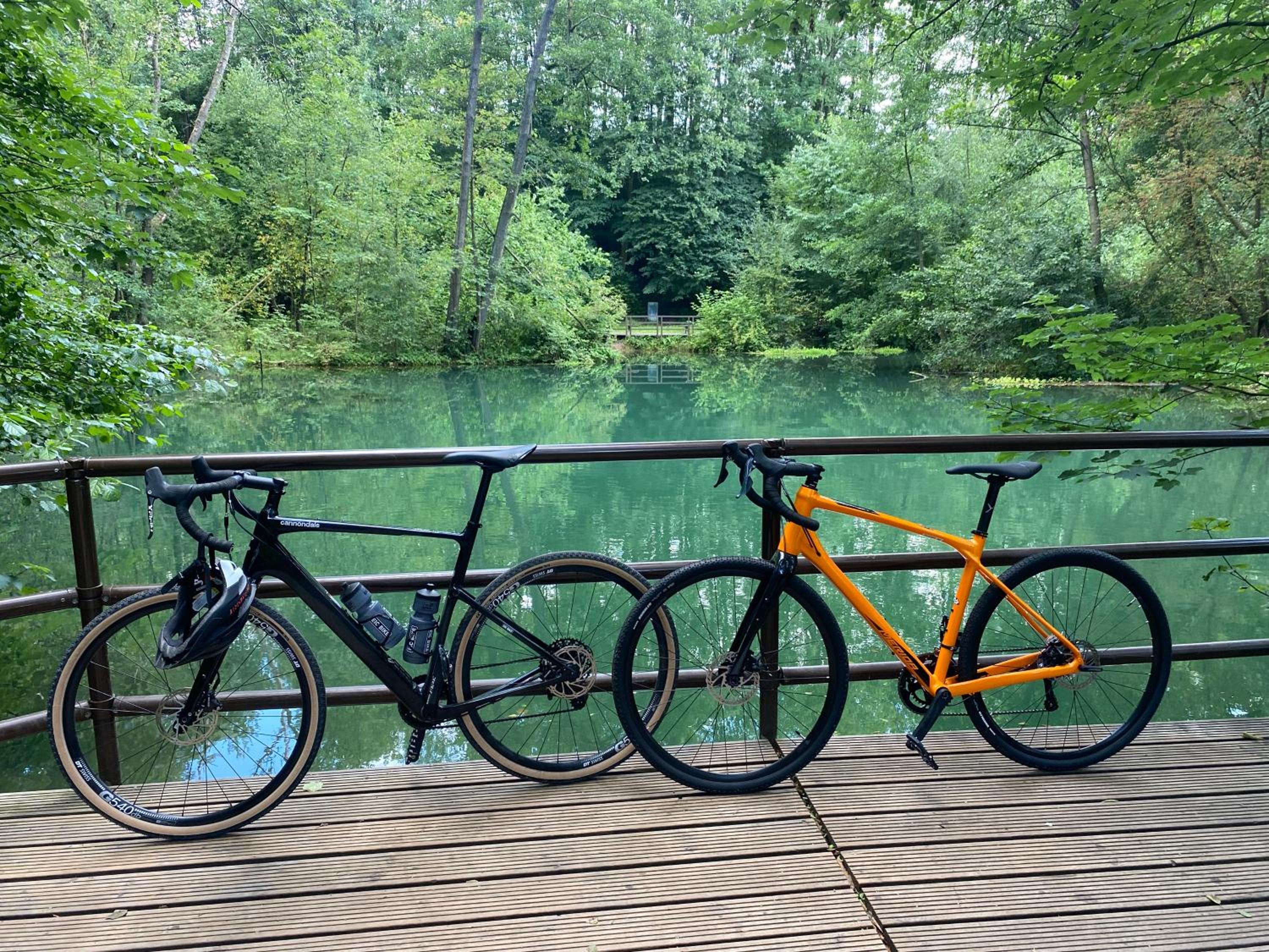 Ferienwohnung Süd - West Harz mit Sauna E-Bikes vorhanden!