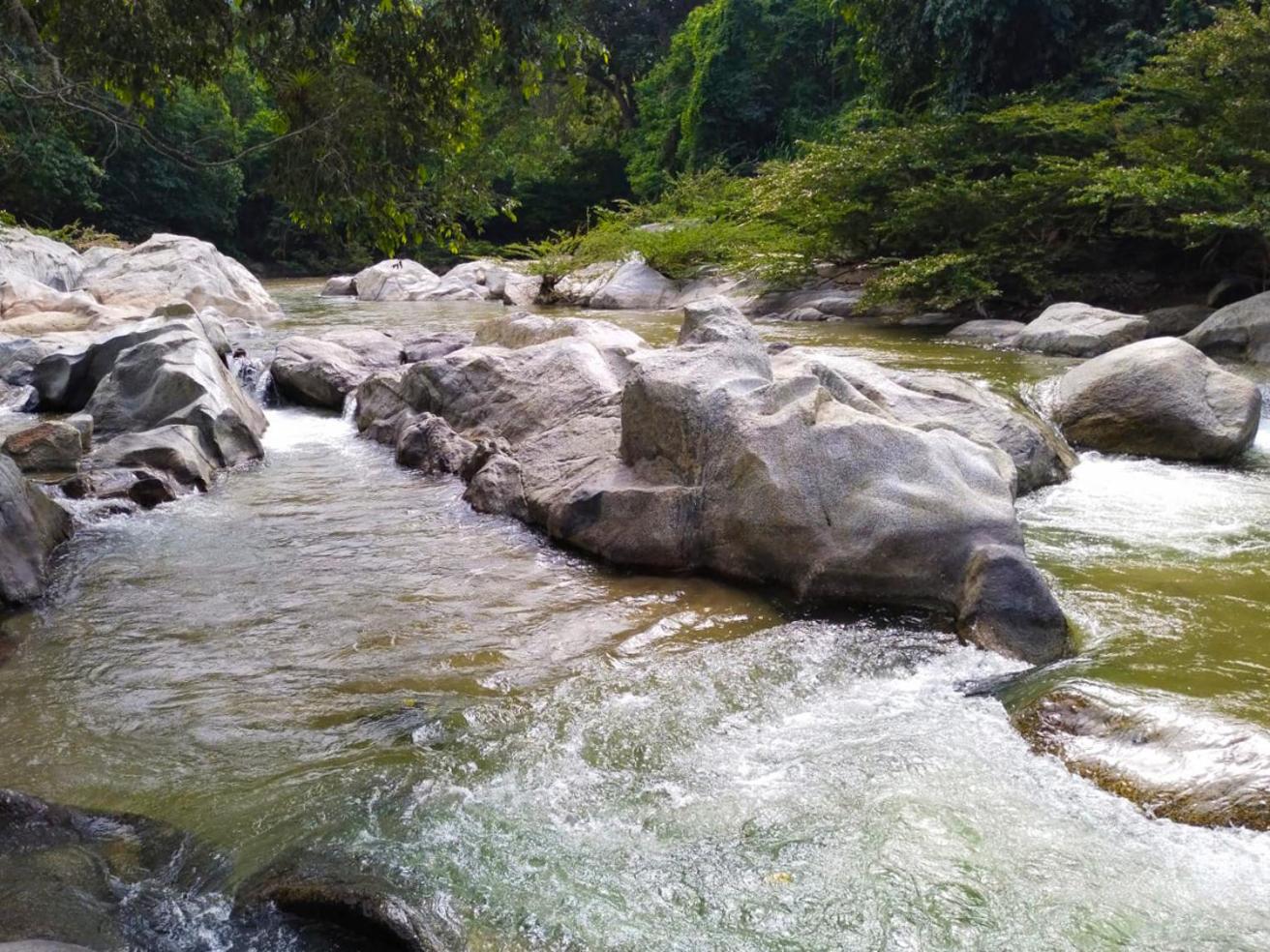 Hostal Flor Tayrona