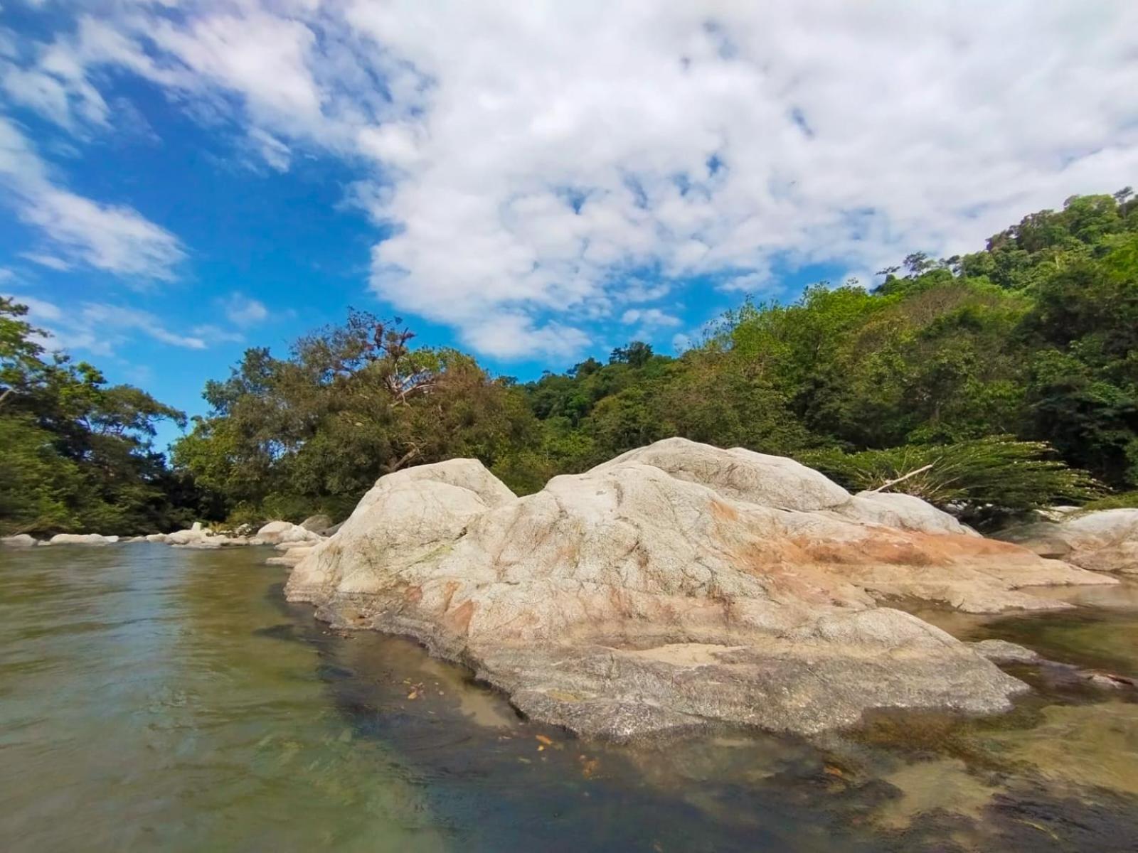 Hostal Flor Tayrona