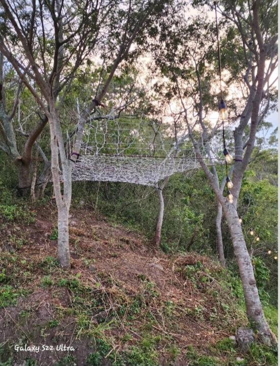 Casa Garibaldi Monteverde