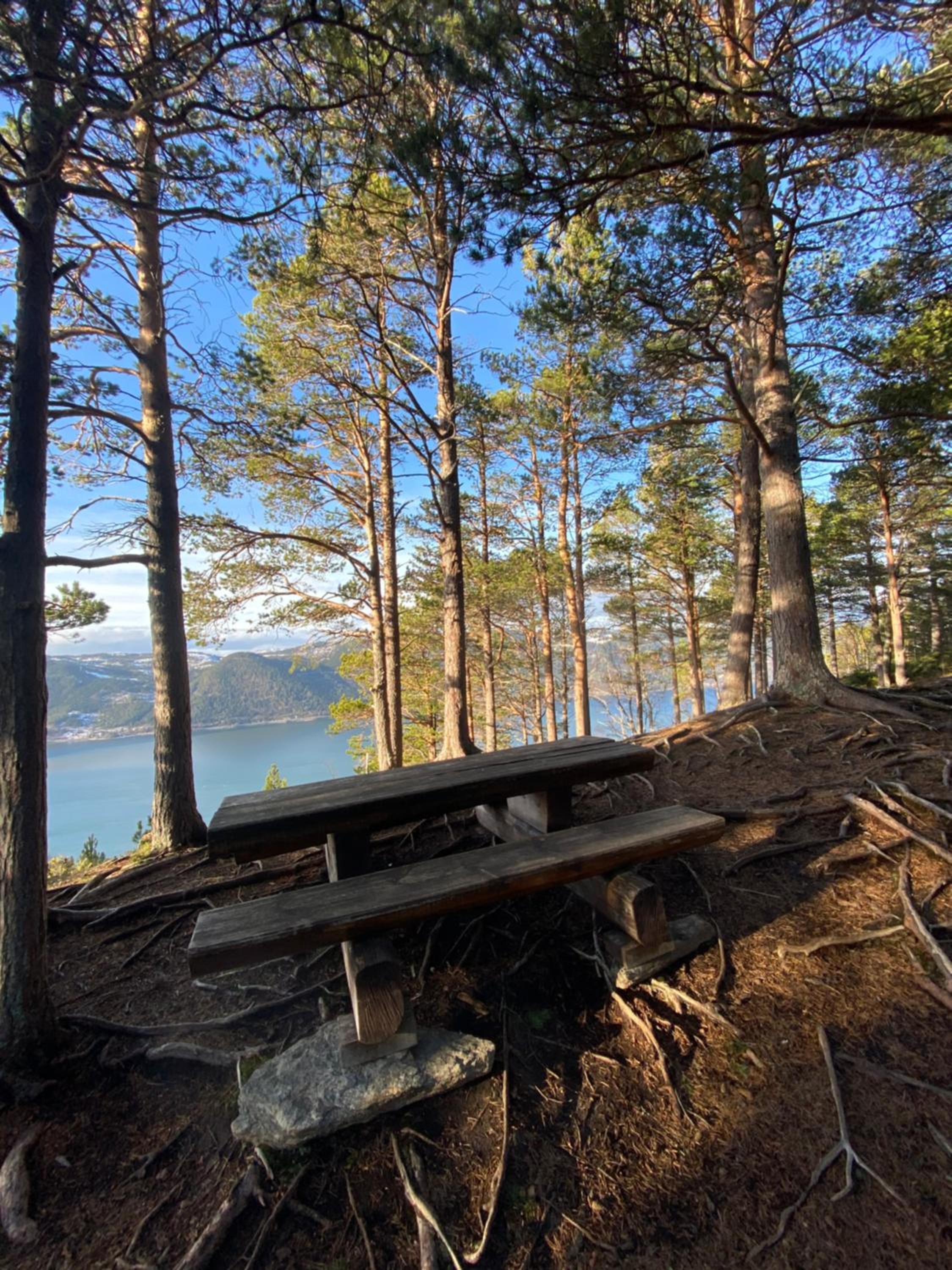 Chalet Orkanger - Close to Everything, Far from Ordinary
