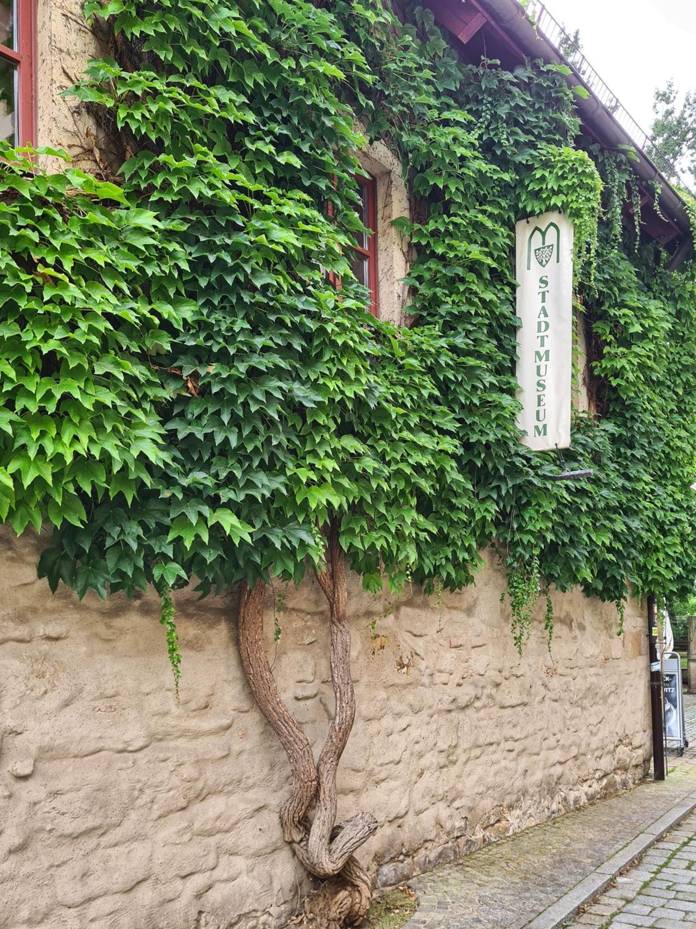 Altstadt Domizil