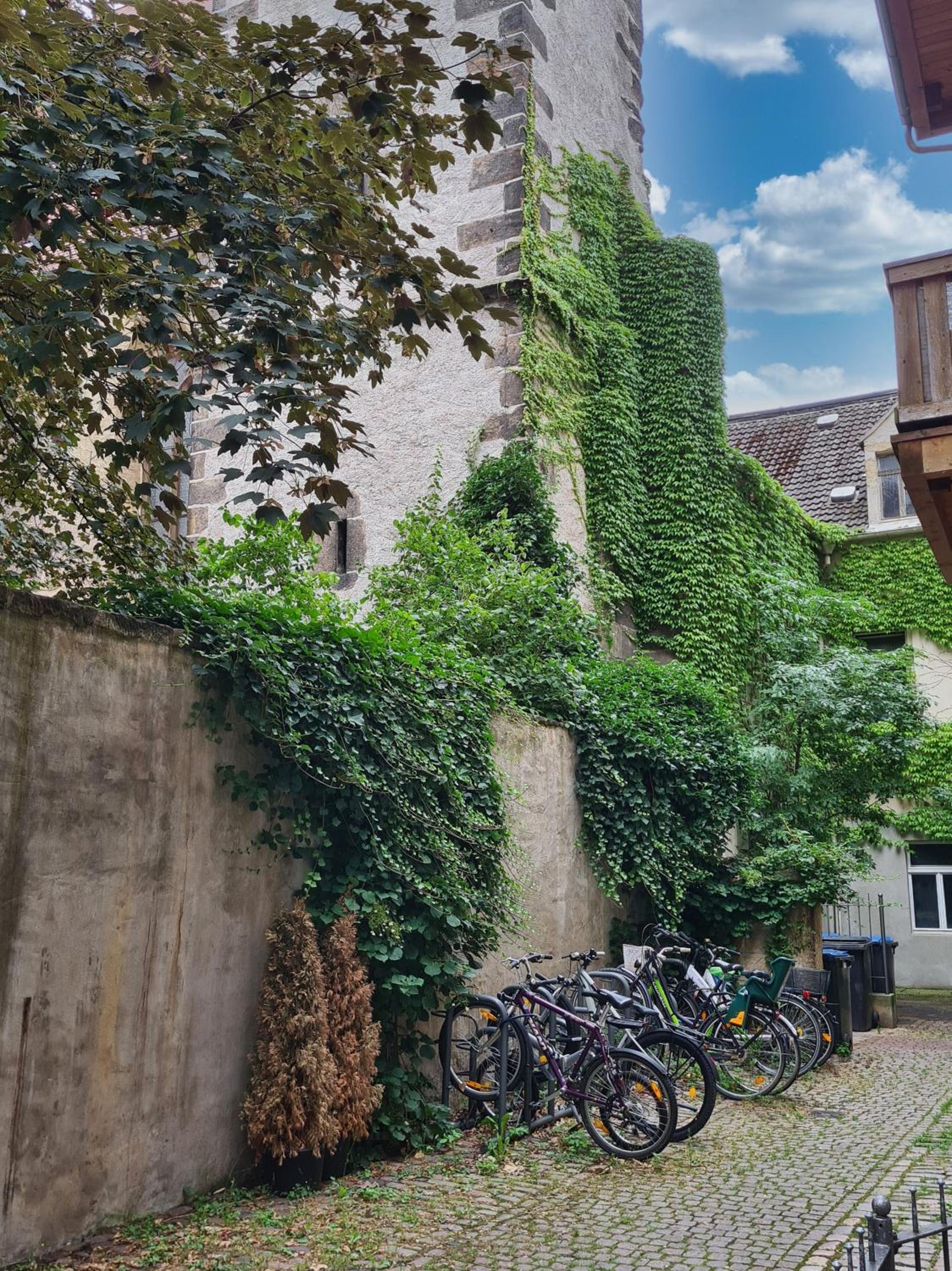 Altstadt Domizil