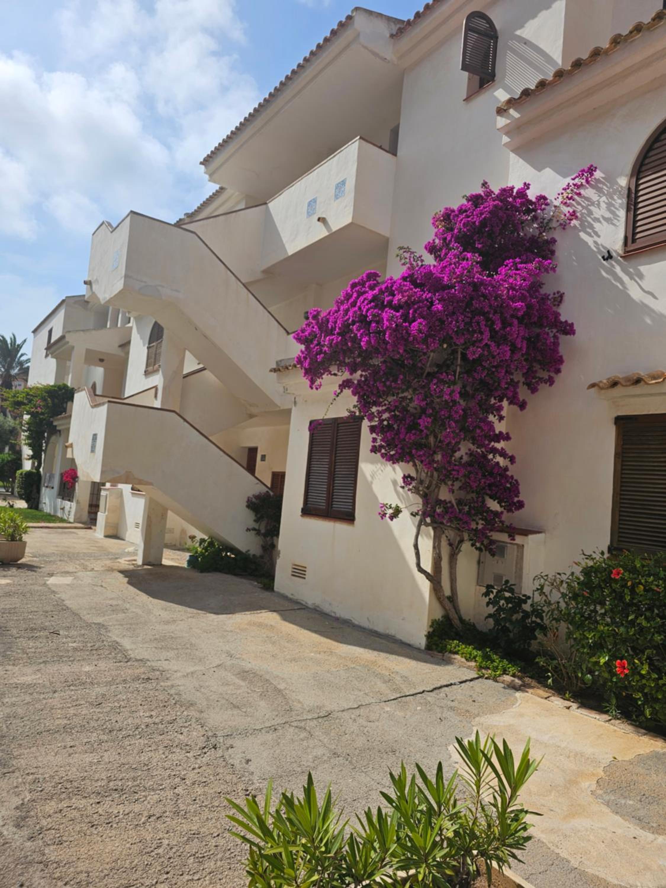 Apartament Blanca La Manga