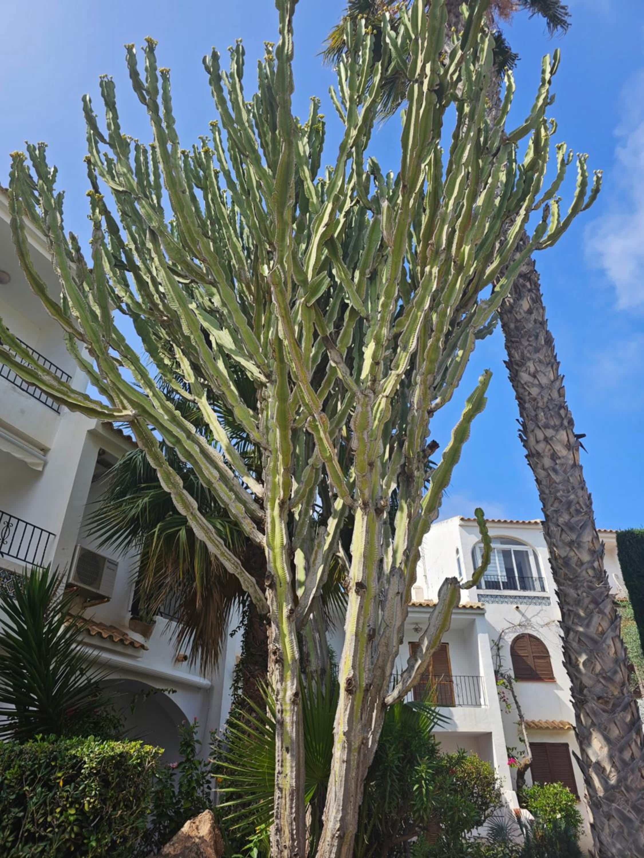 Apartament Blanca La Manga