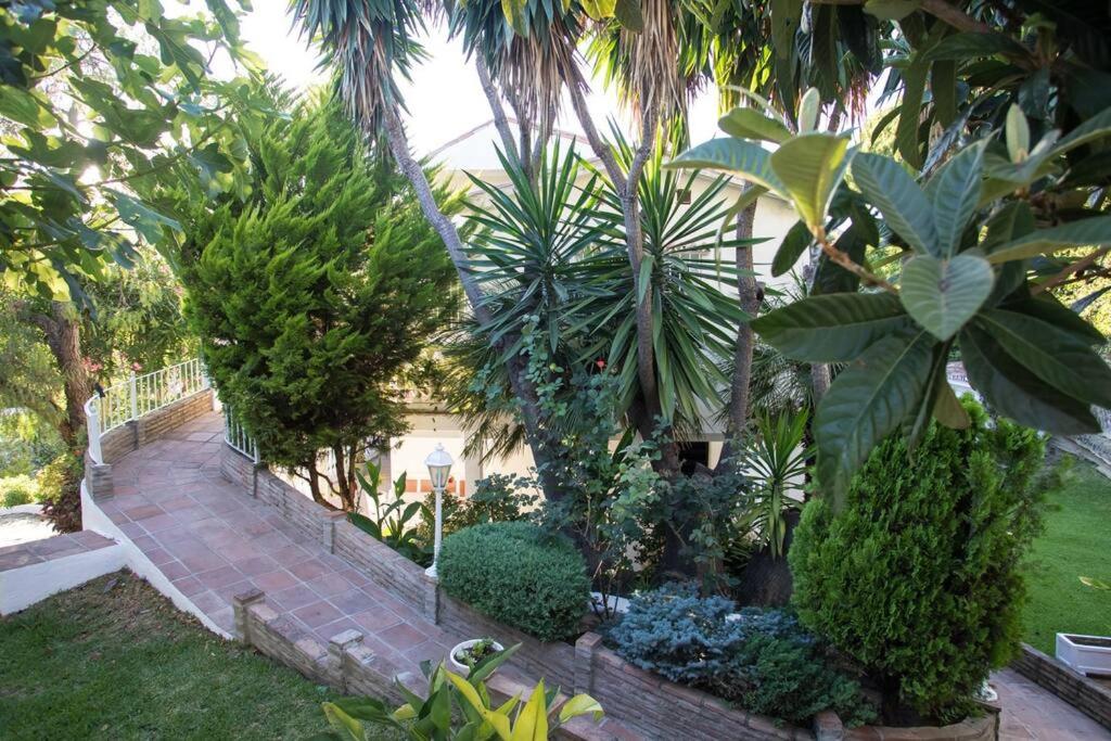 Marbella Vacations - San Nicolas - Property Image 29