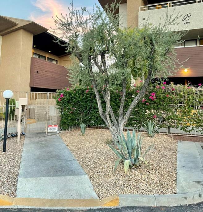 Hotel Mcm Condo Downtown Palm Springs