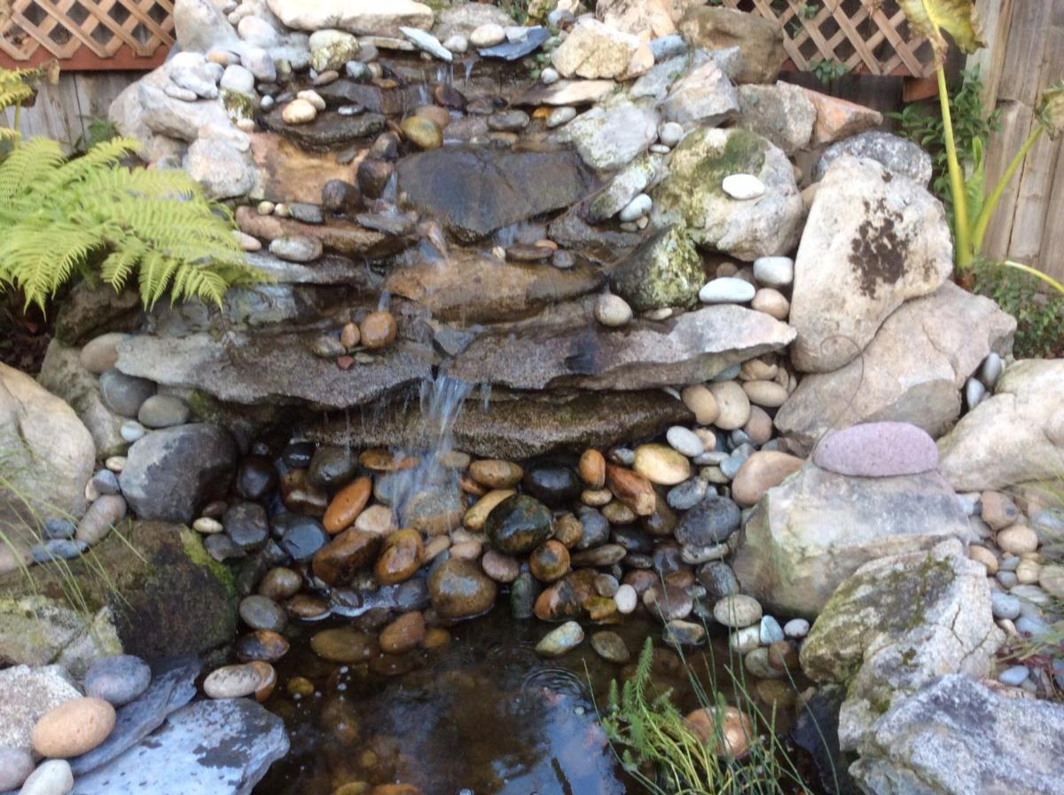 Photo 49