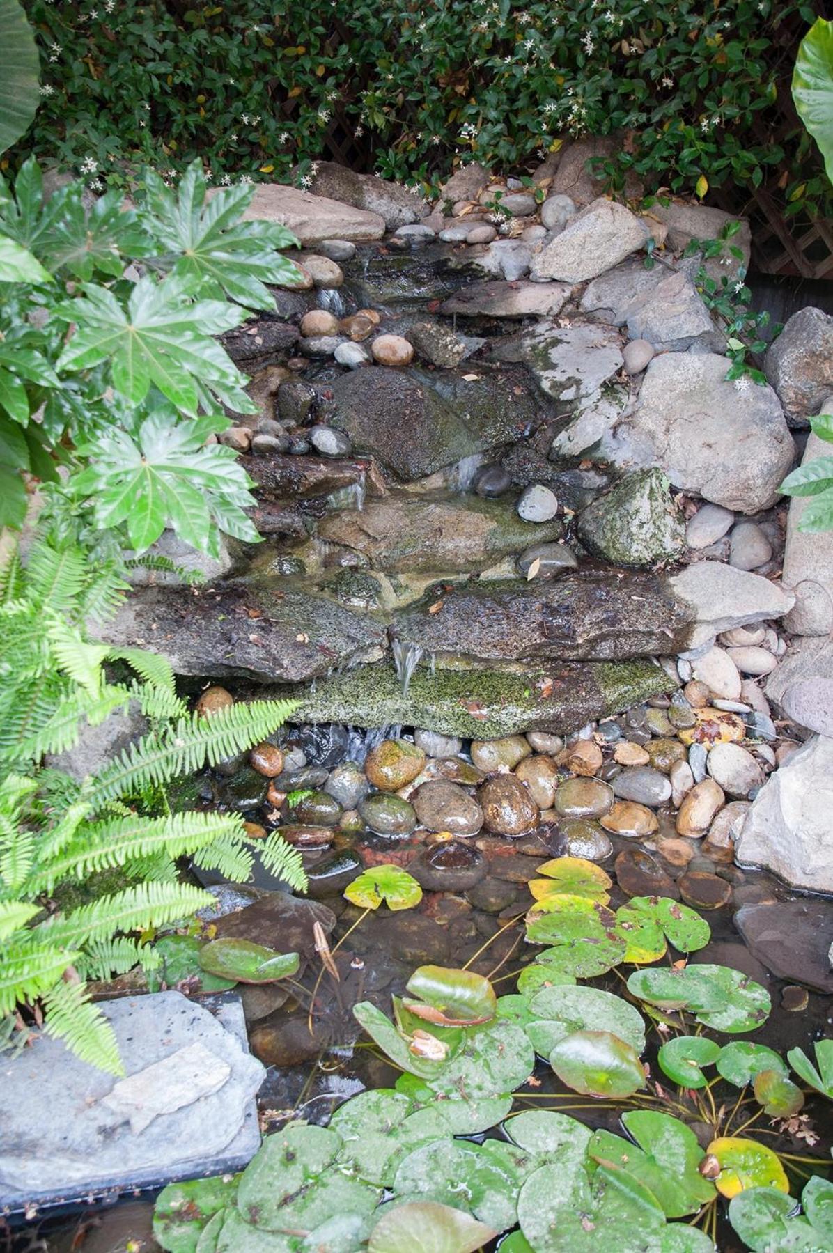 Photo 52
