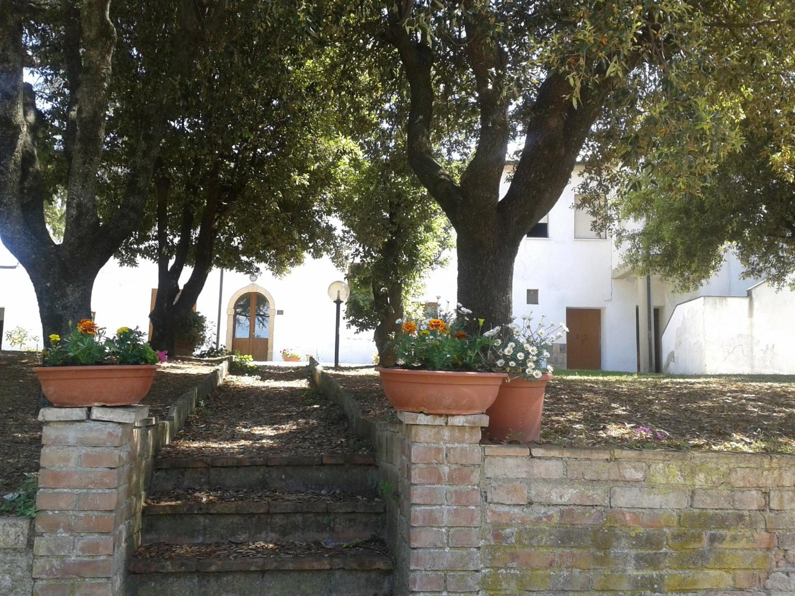Photo 46