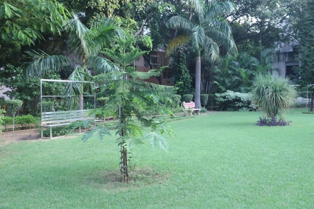 Divine India Service Apartment 3Bhk,B57 Sarita Vihar,Apollo view 4