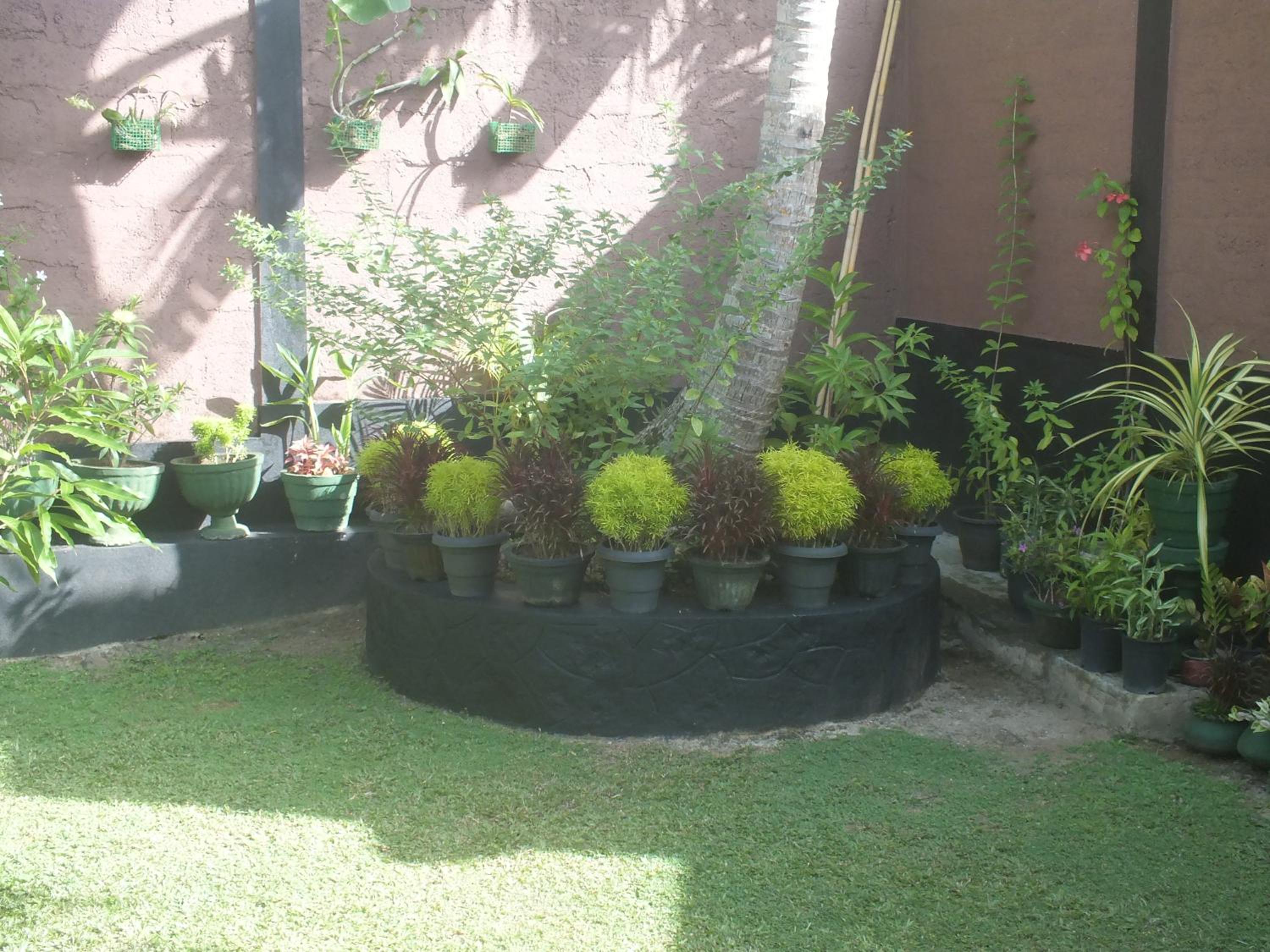 Photo 44